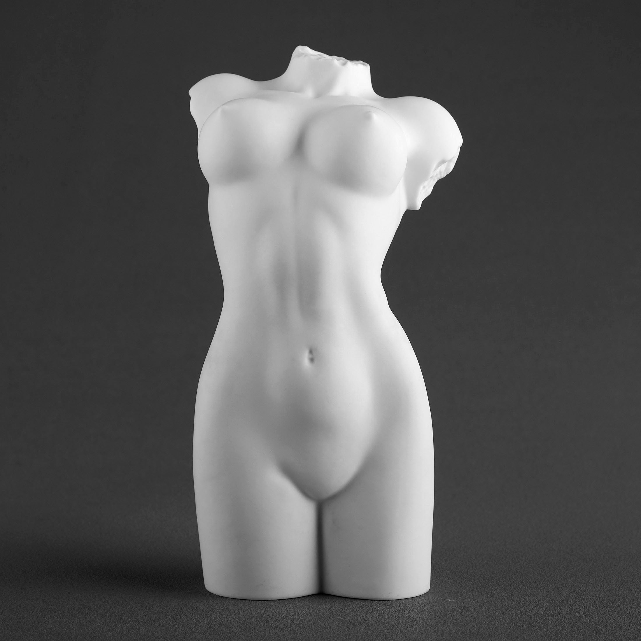 NudeFemale Torso062(Matt)