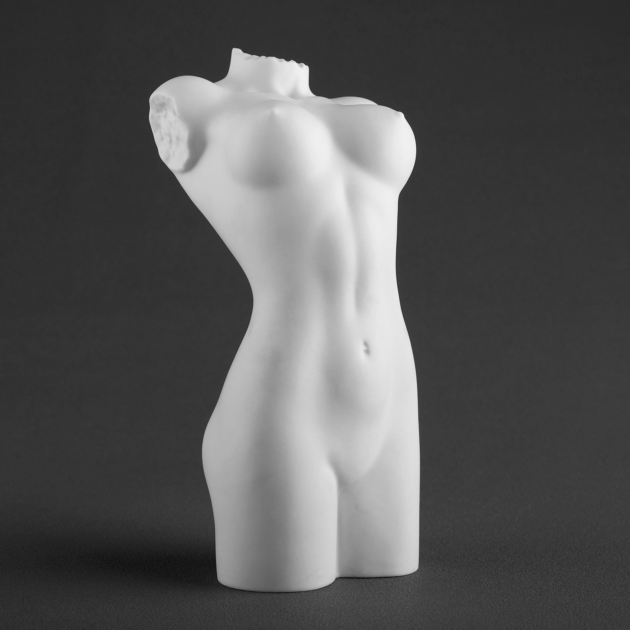 NudeFemale Torso062(Matt)