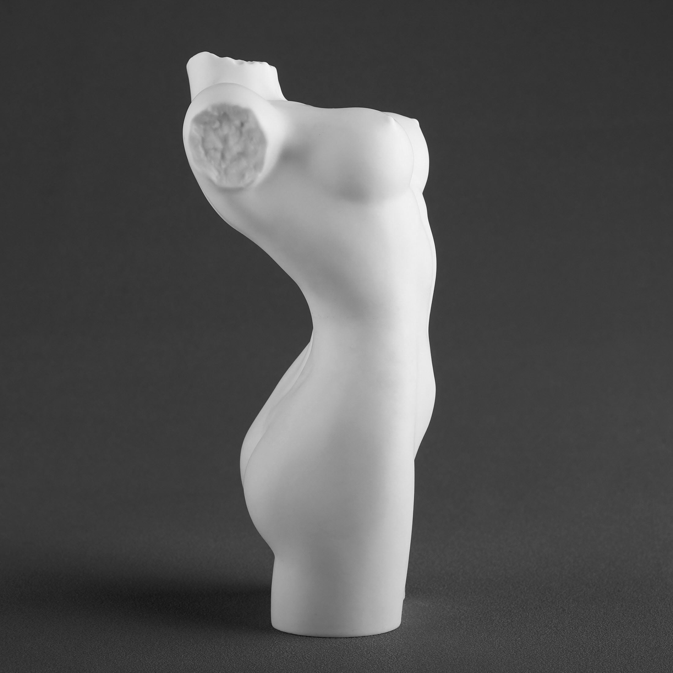 NudeFemale Torso062(Matt)