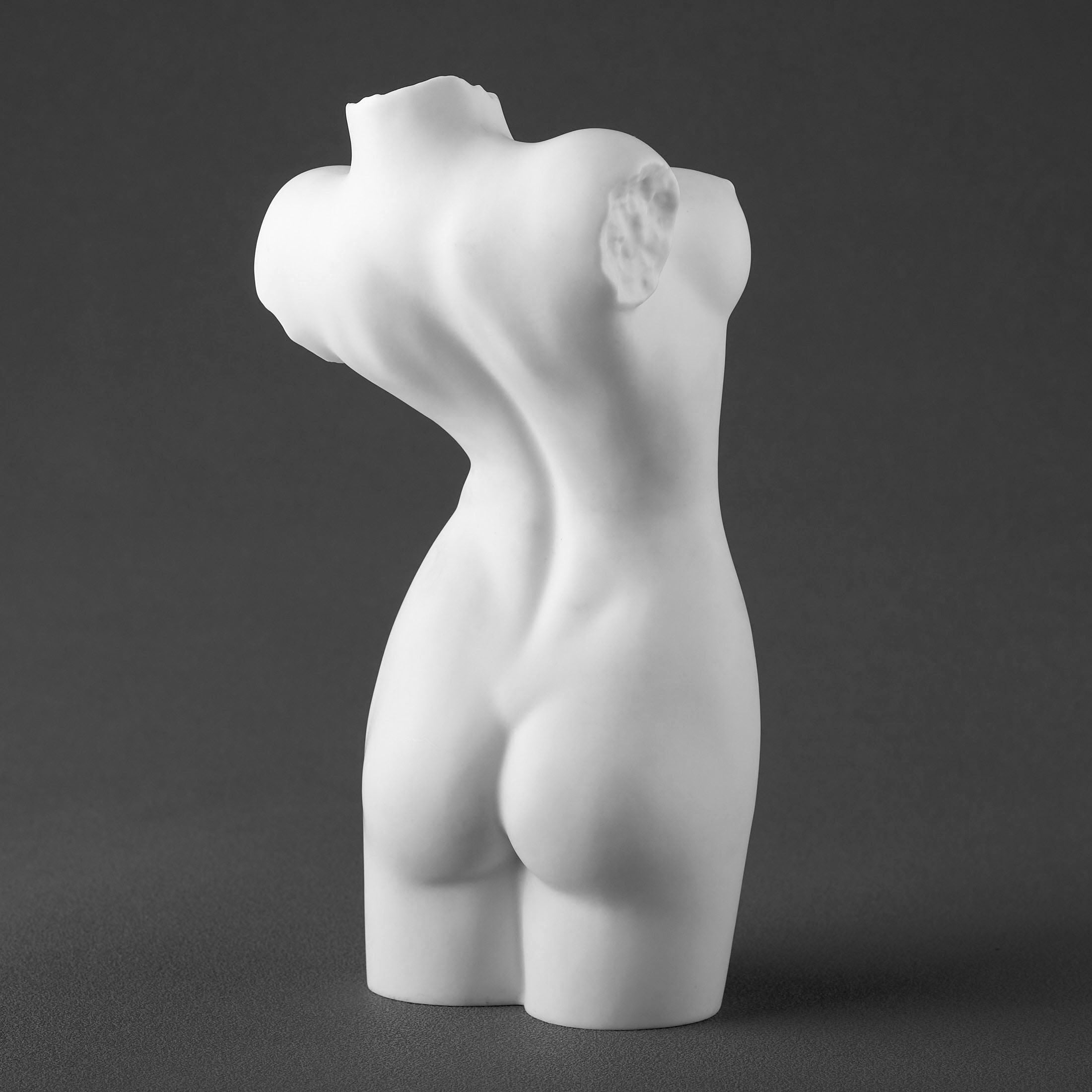 NudeFemale Torso062(Matt)