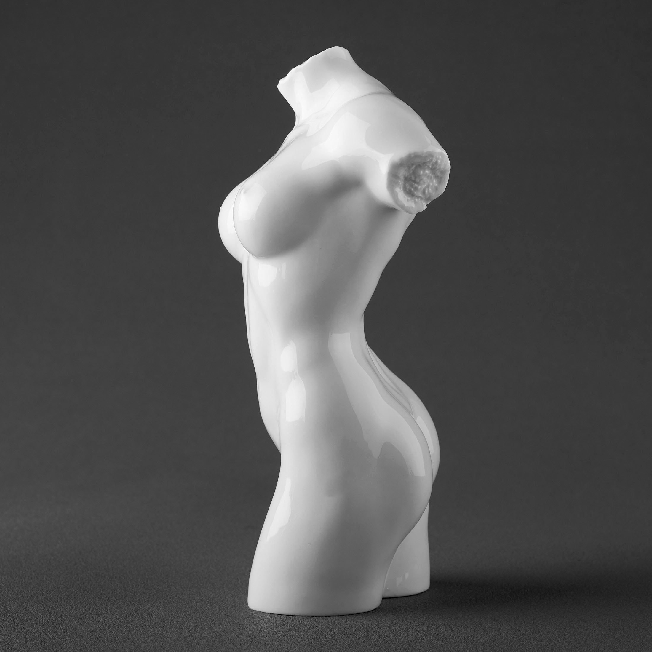 NudeFemale Torso064(Glazed)