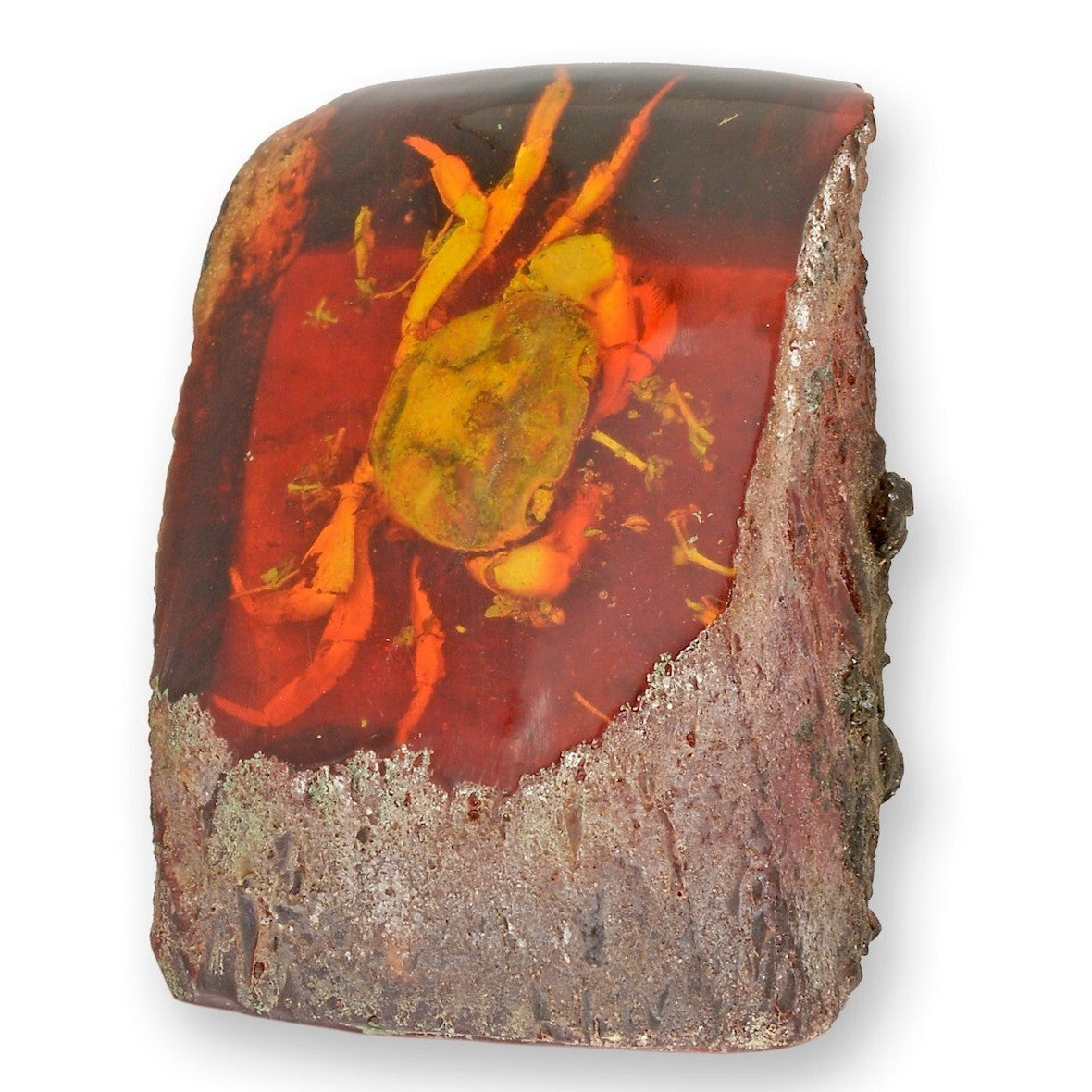 Crab – Amber Style Natural Display | Animal Sculptures | Home Decor