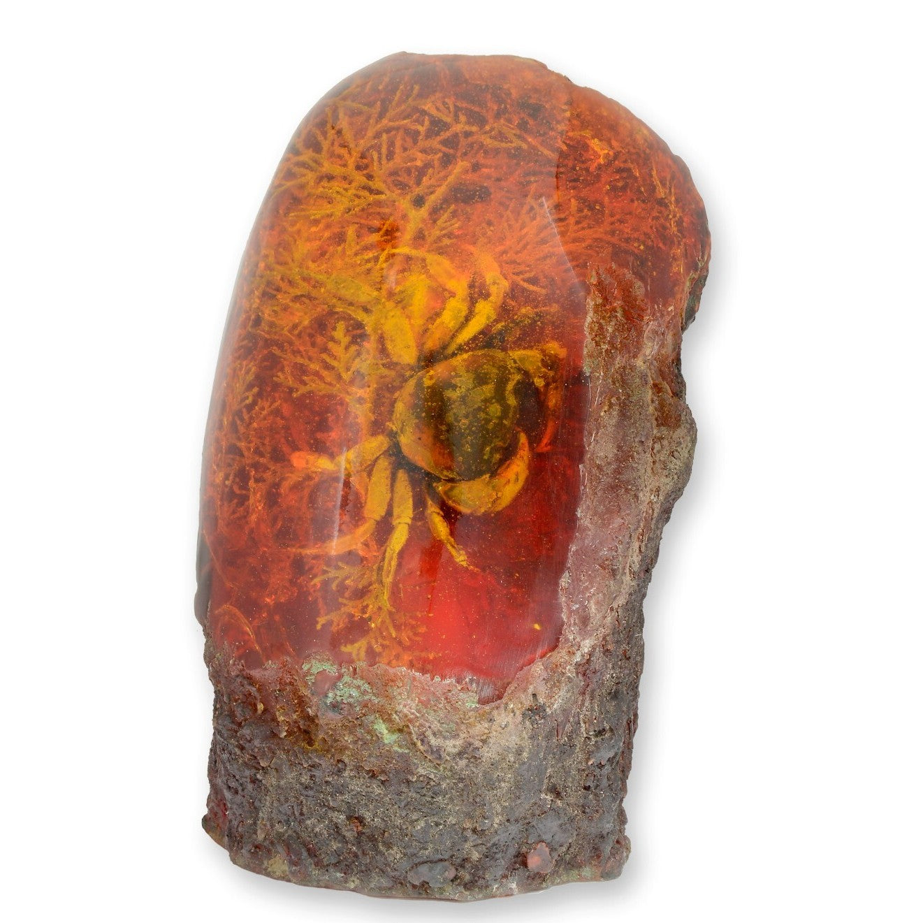 Crab – Amber Style Nature Decor | Animal Sculptures | Home Decor