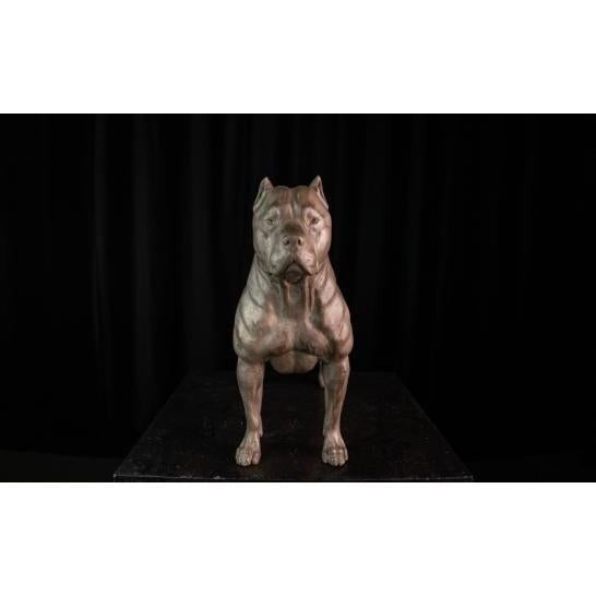 Life size Bronze Pitbull | Animal Sculptures | Home Decor