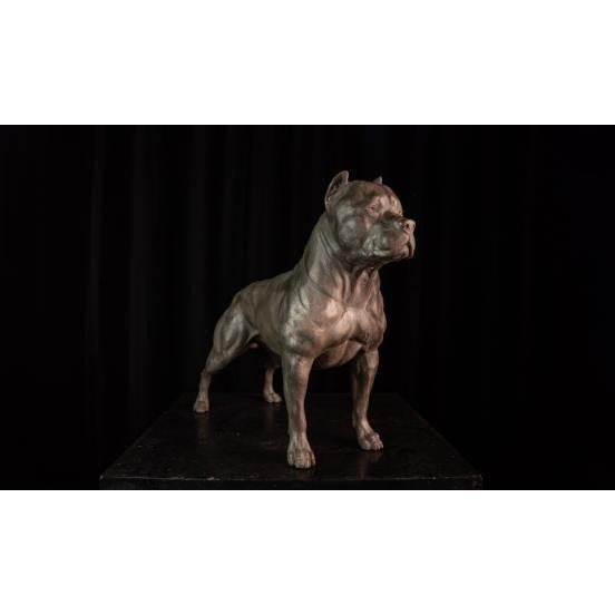 Life size Bronze Pitbull | Animal Sculptures | Home Decor