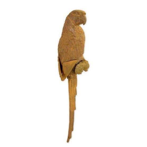 Macaw | Animal Sculptures | Home Decor | Handcrafted | Collectible Art