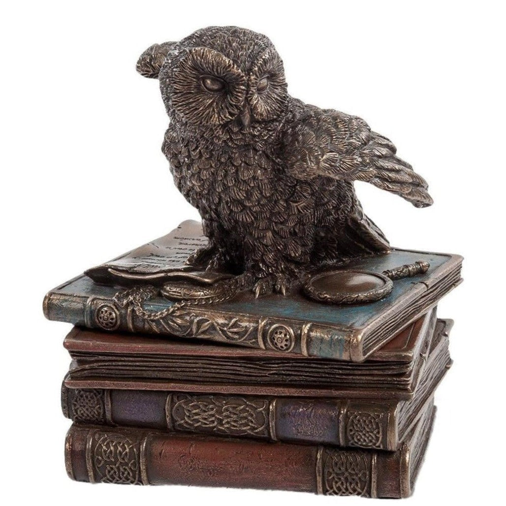 Owl Flap Wings On Books Trinket Box | Desk & Curio Accessories