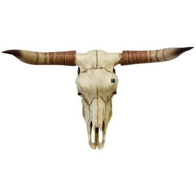 Resin Buffalo Skull Head | Animal Sculptures | Home Decor
