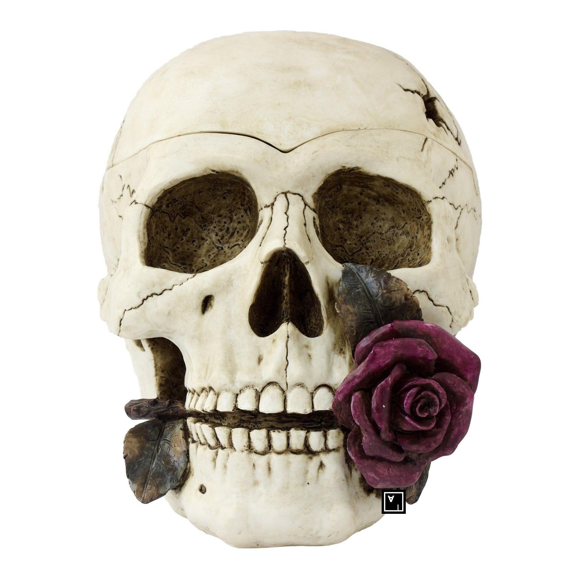 Resin Skull Sculpture with Rose | Curios & Collectibles