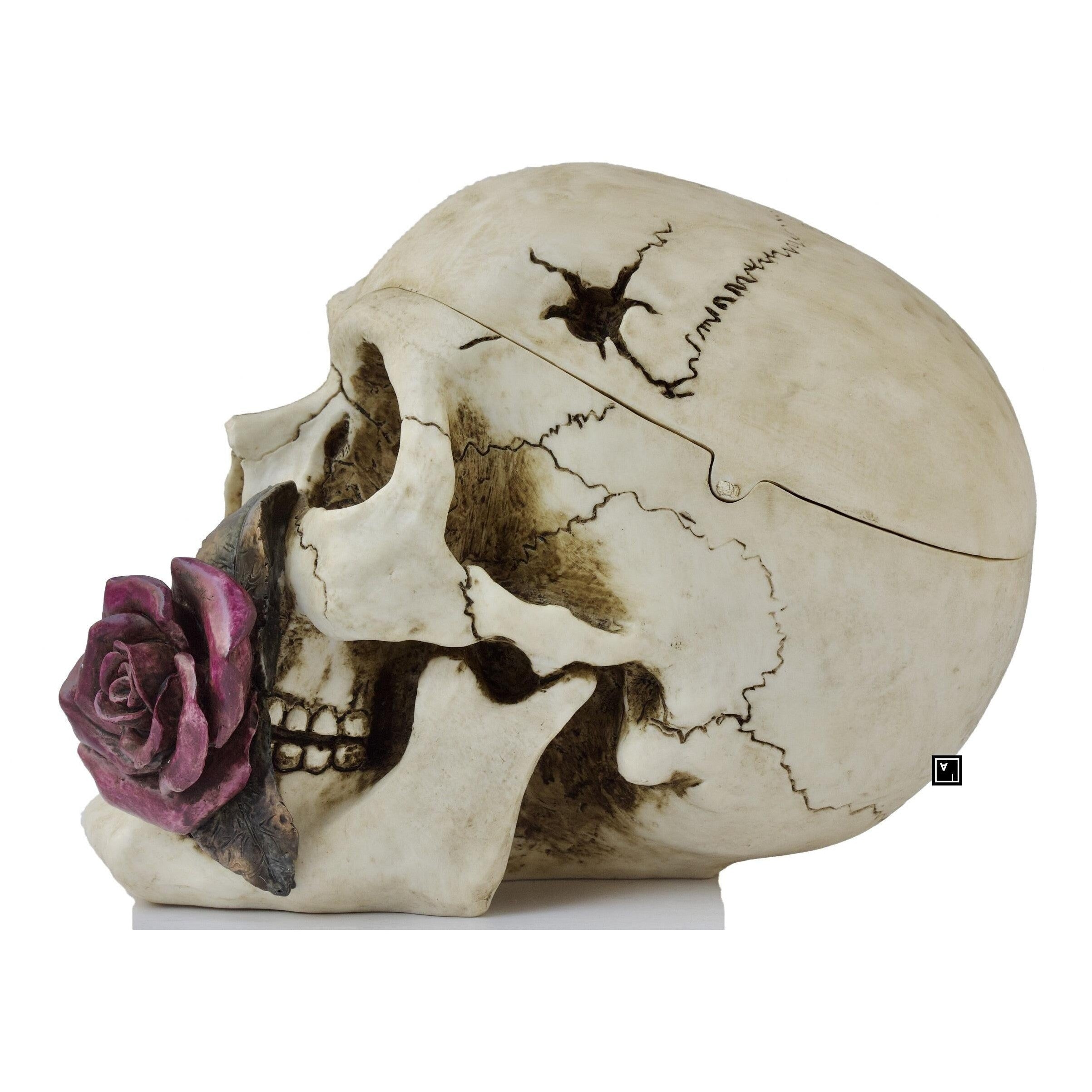 Resin Skull Sculpture with Rose | Curios & Collectibles