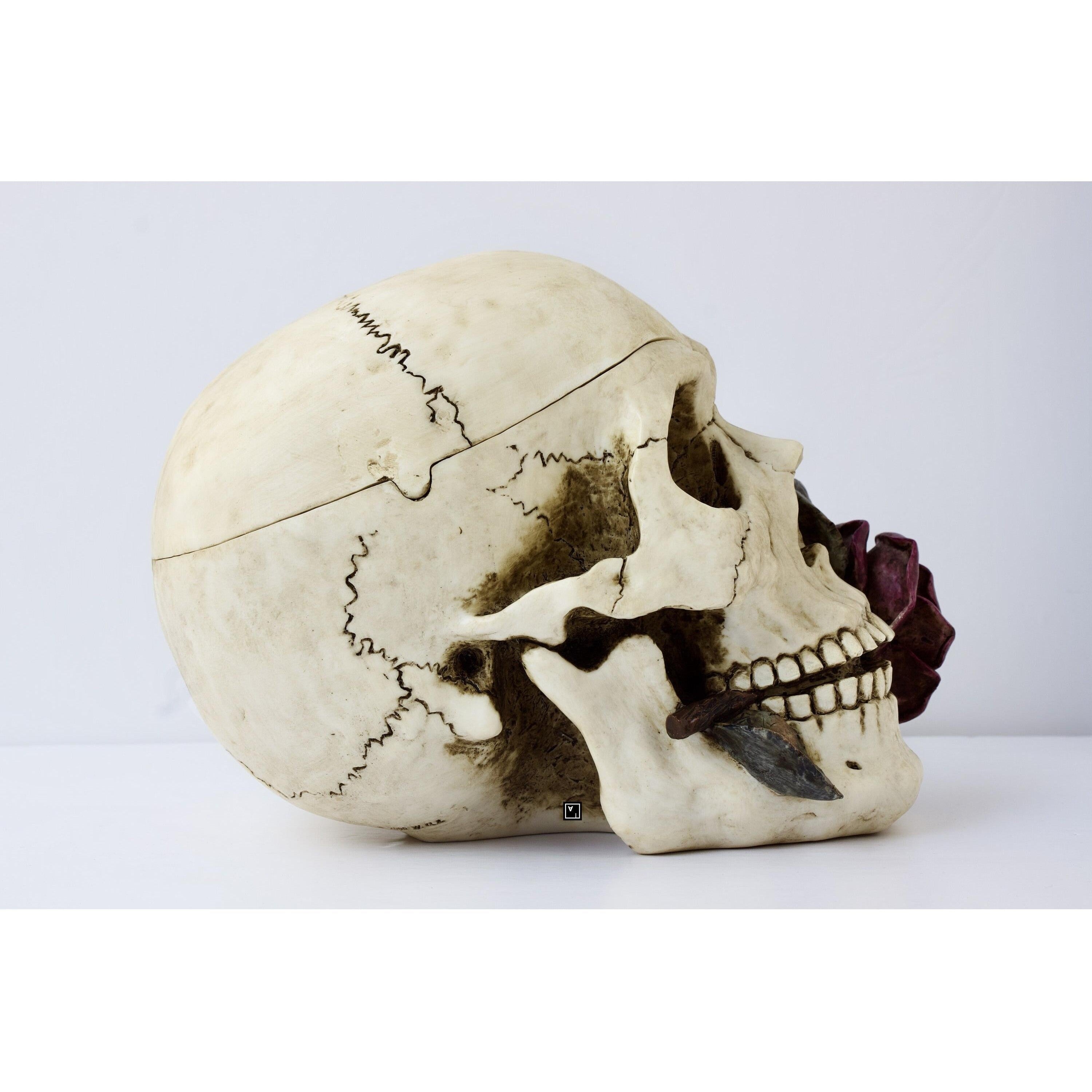 Resin Skull Sculpture with Rose | Curios & Collectibles