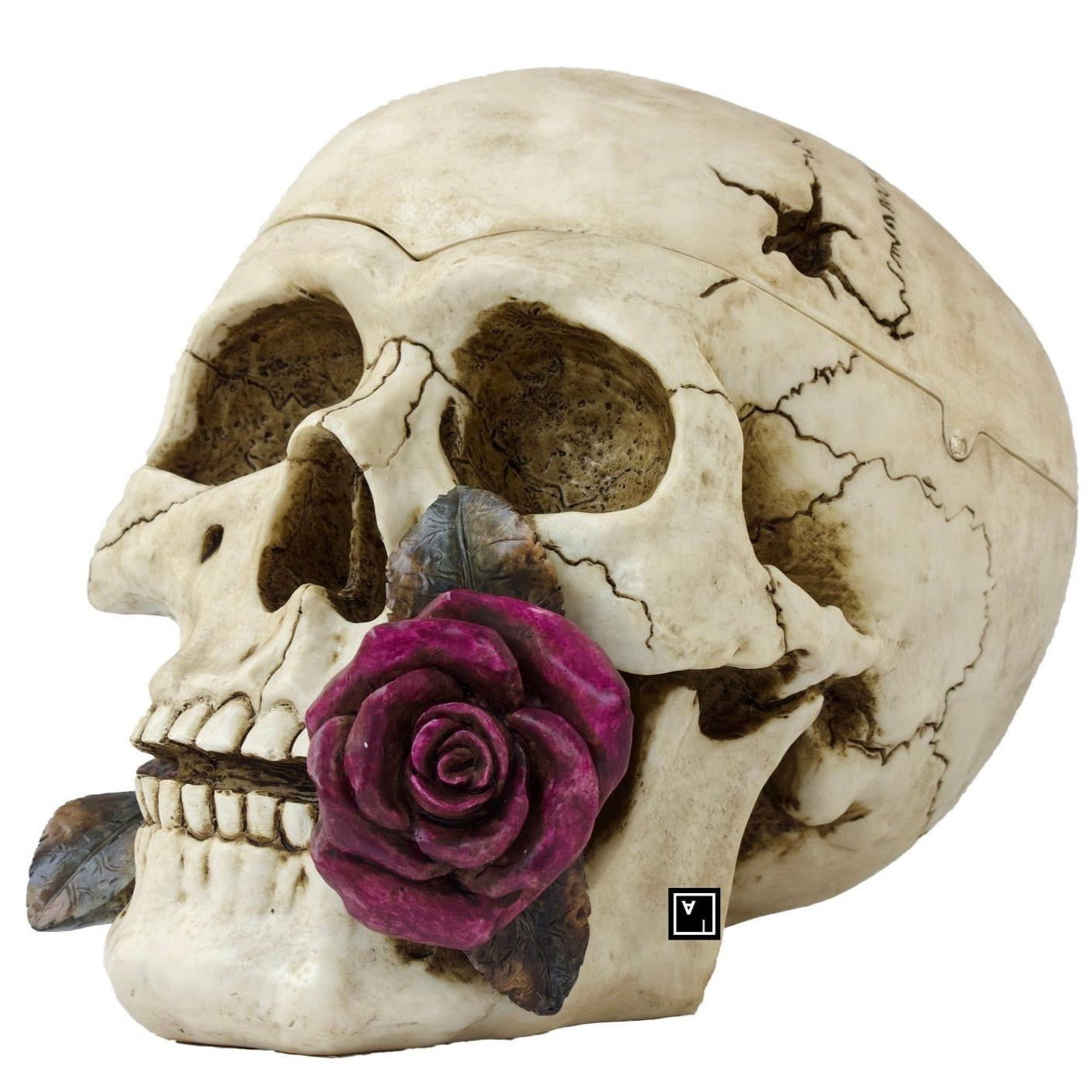 Resin Skull Sculpture with Rose | Curios & Collectibles