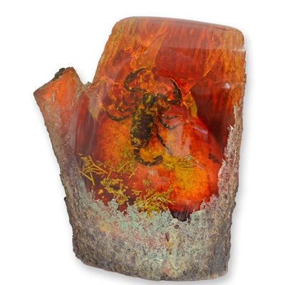Scorpion – Amber Style Fossil Art | Animal Sculptures | Home Decor