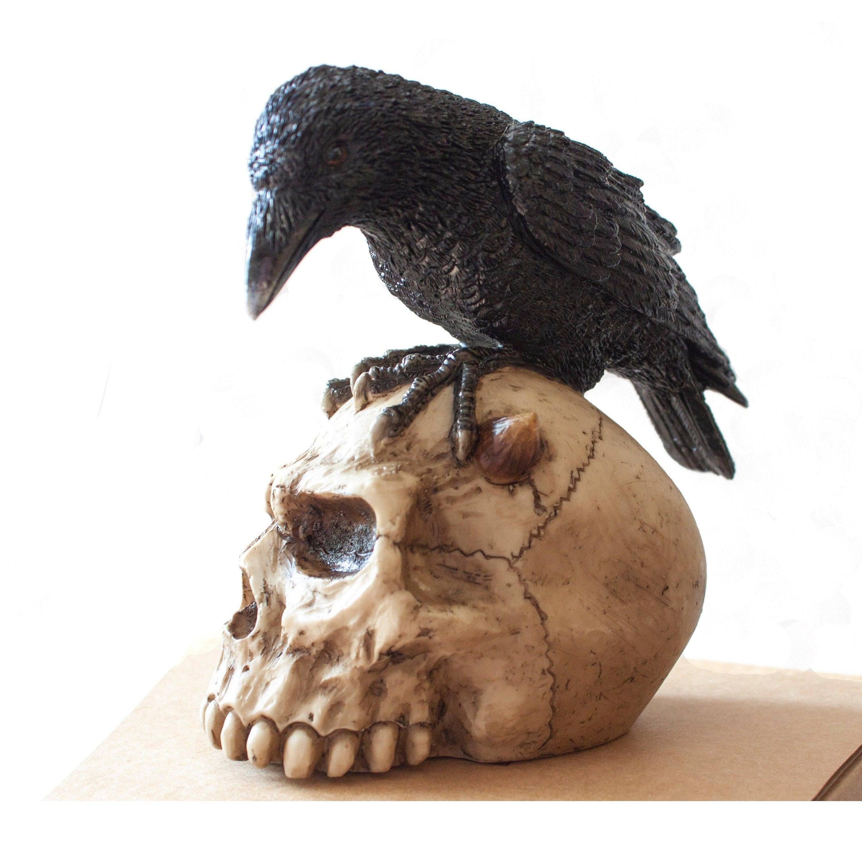 Skull and Raven | Animal Sculptures | Home Decor | Handcrafted