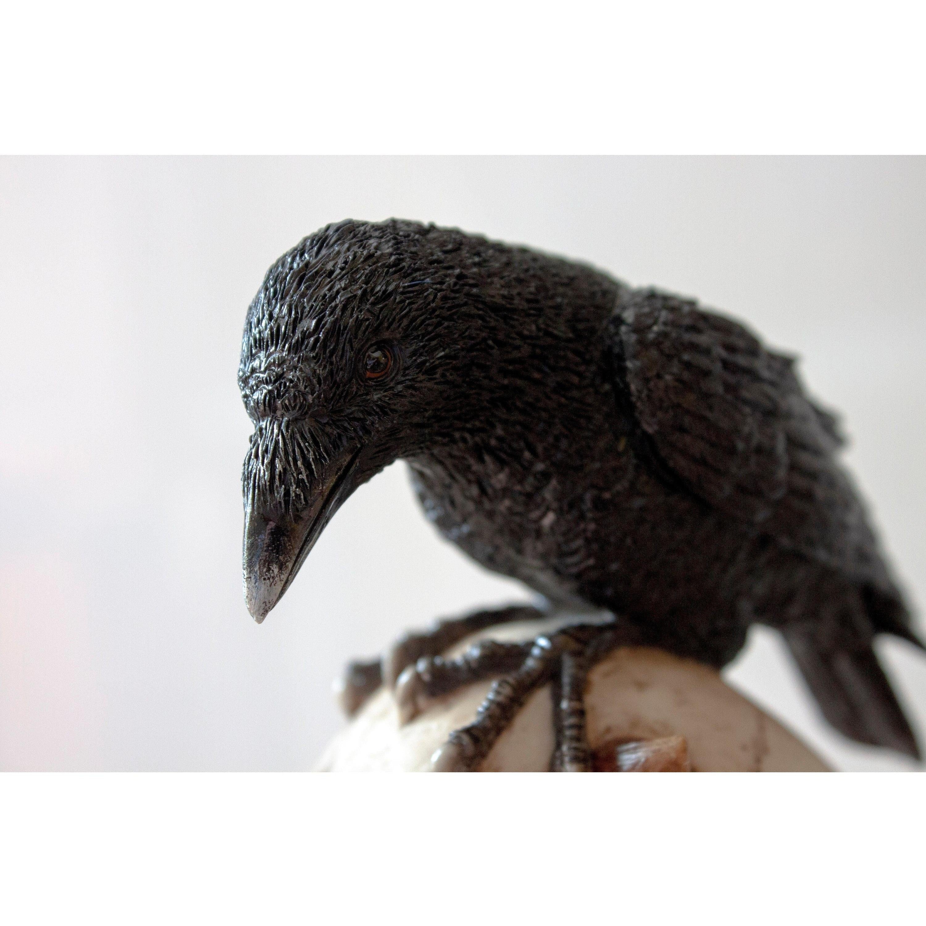 Skull and Raven | Animal Sculptures | Home Decor | Handcrafted