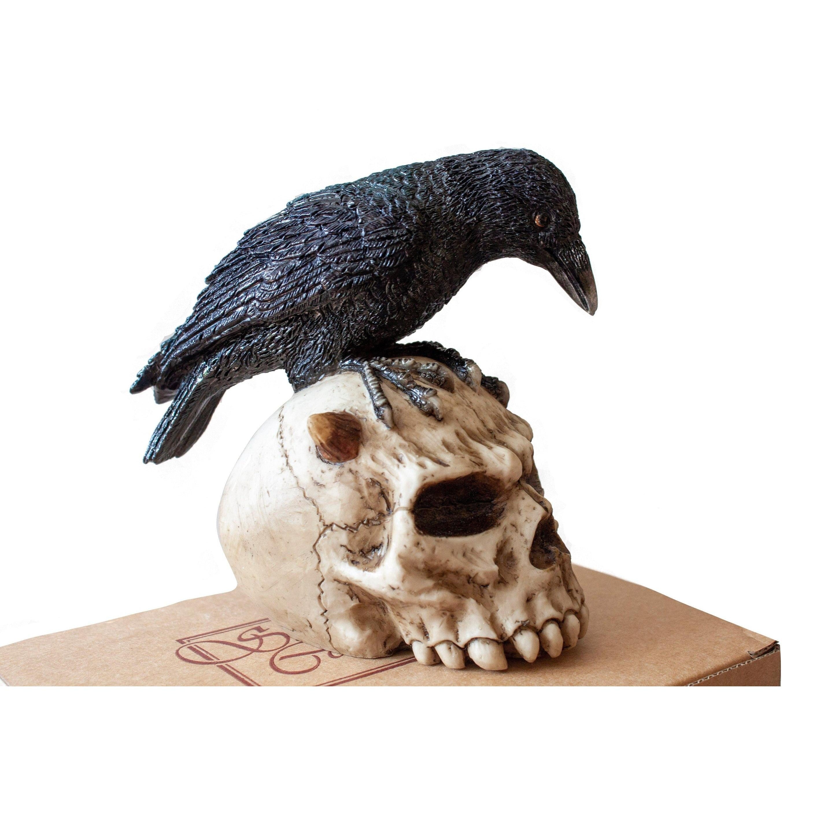 Skull and Raven | Animal Sculptures | Home Decor | Handcrafted