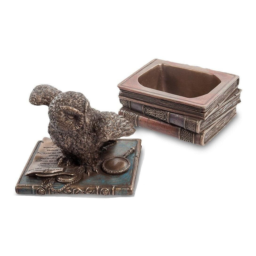 Snow Owl Flap Wings On Books Trinket Box | Desk & Curio Accessories