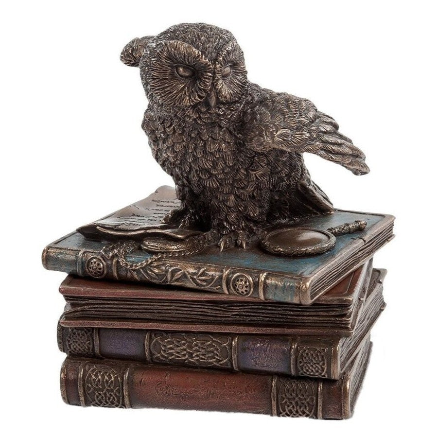 Snow Owl Flap Wings On Books Trinket Box | Desk & Curio Accessories