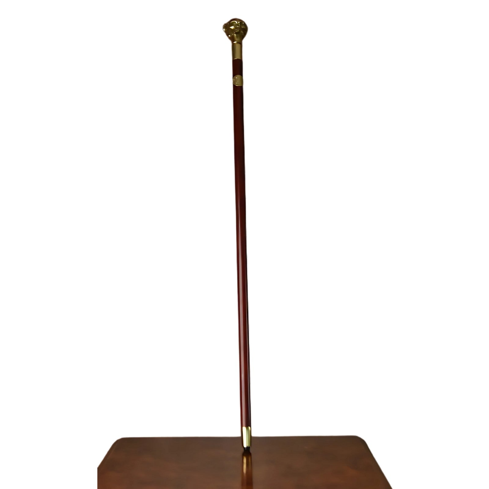 Walking Stick | Curios & Collectibles | Home Decor | Handcrafted