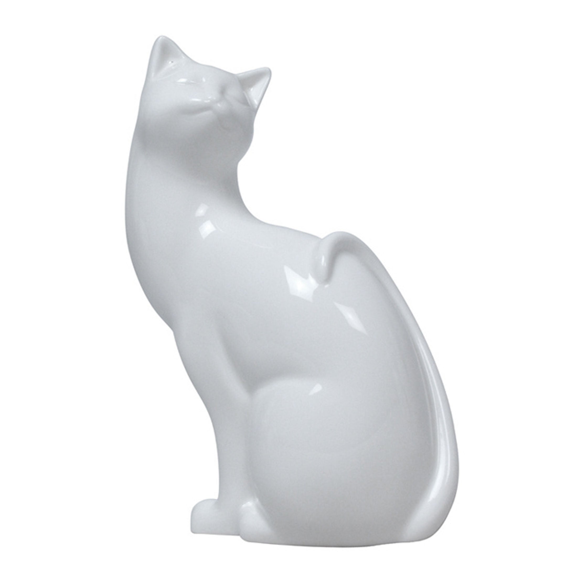 Artistic CatLooking Back
