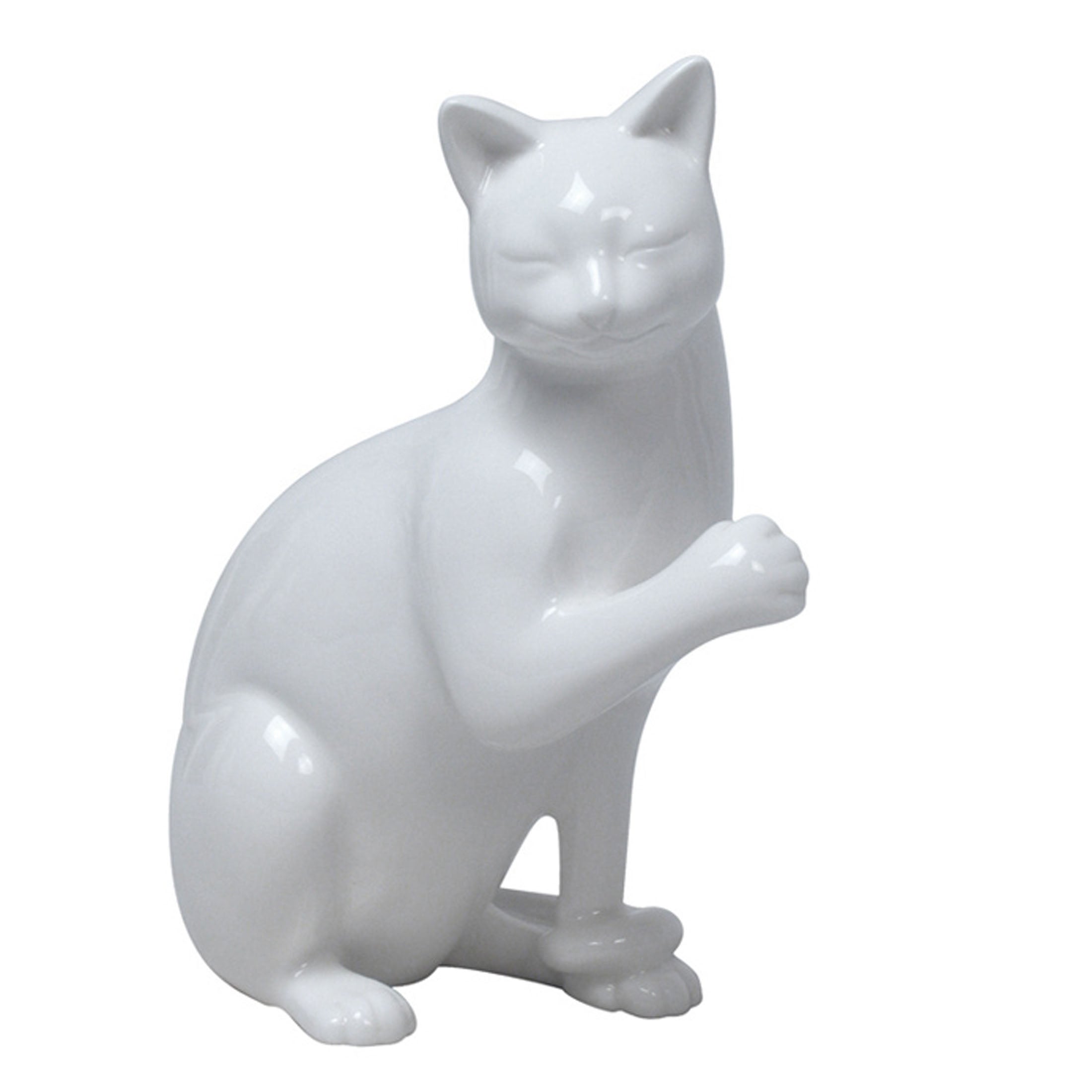 Lifting Front Right Paw