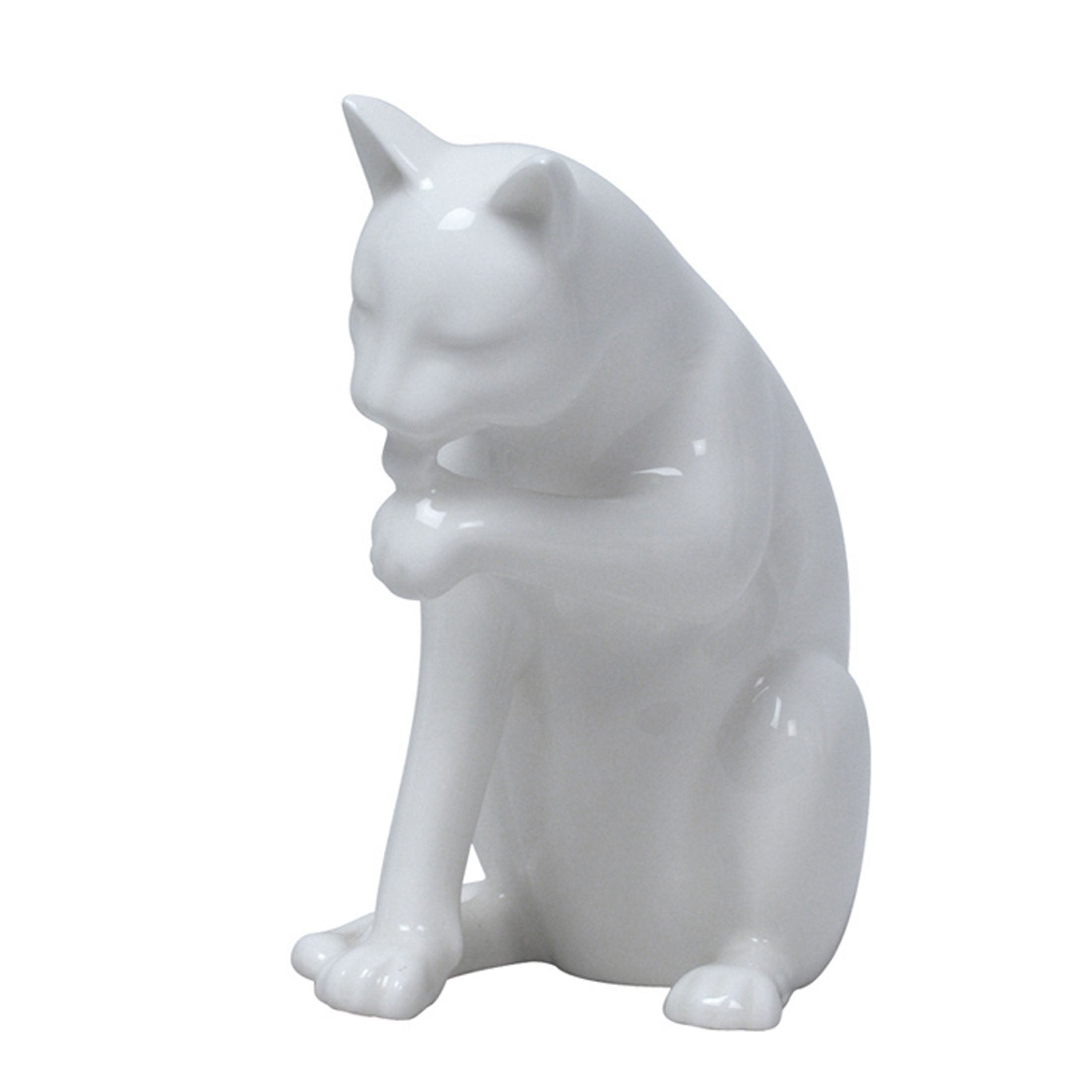 Sitting And Licking Left Paw