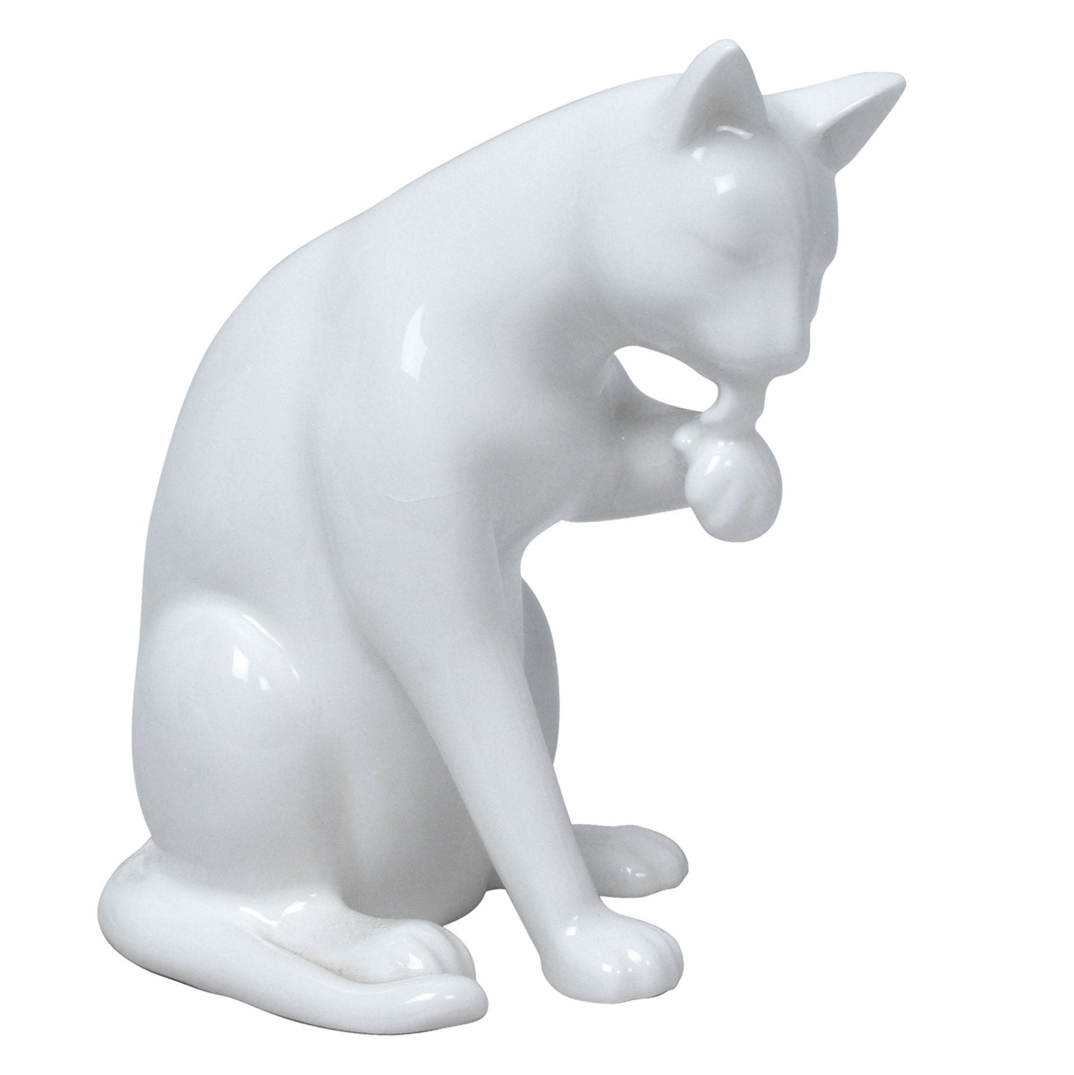 Sitting And Licking Left Paw