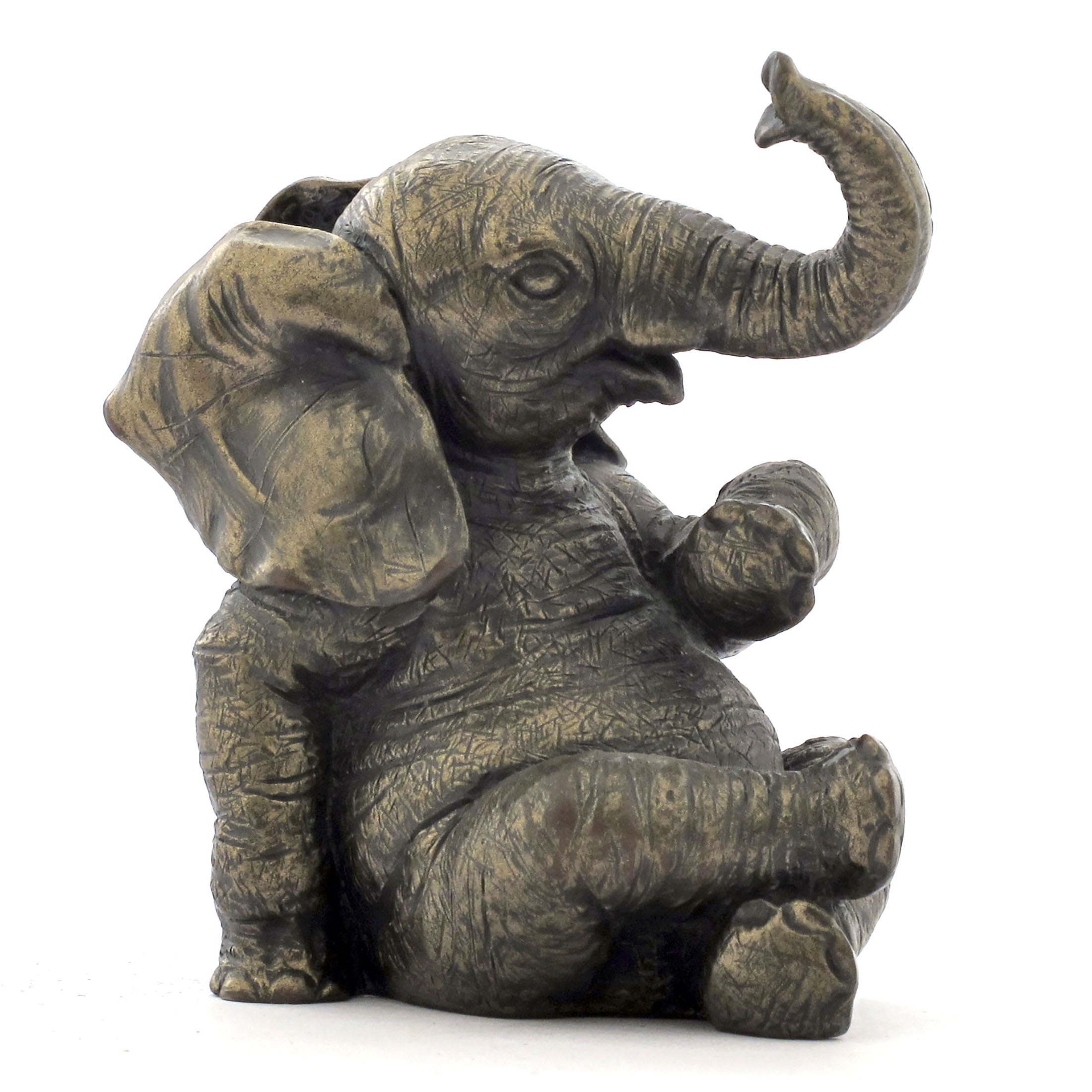 Baby Elephant Sitting Crossing Two Legs (Mbz)