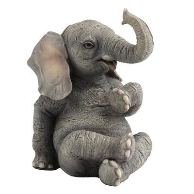 Baby Elephant Sitting Crossing Two Legs