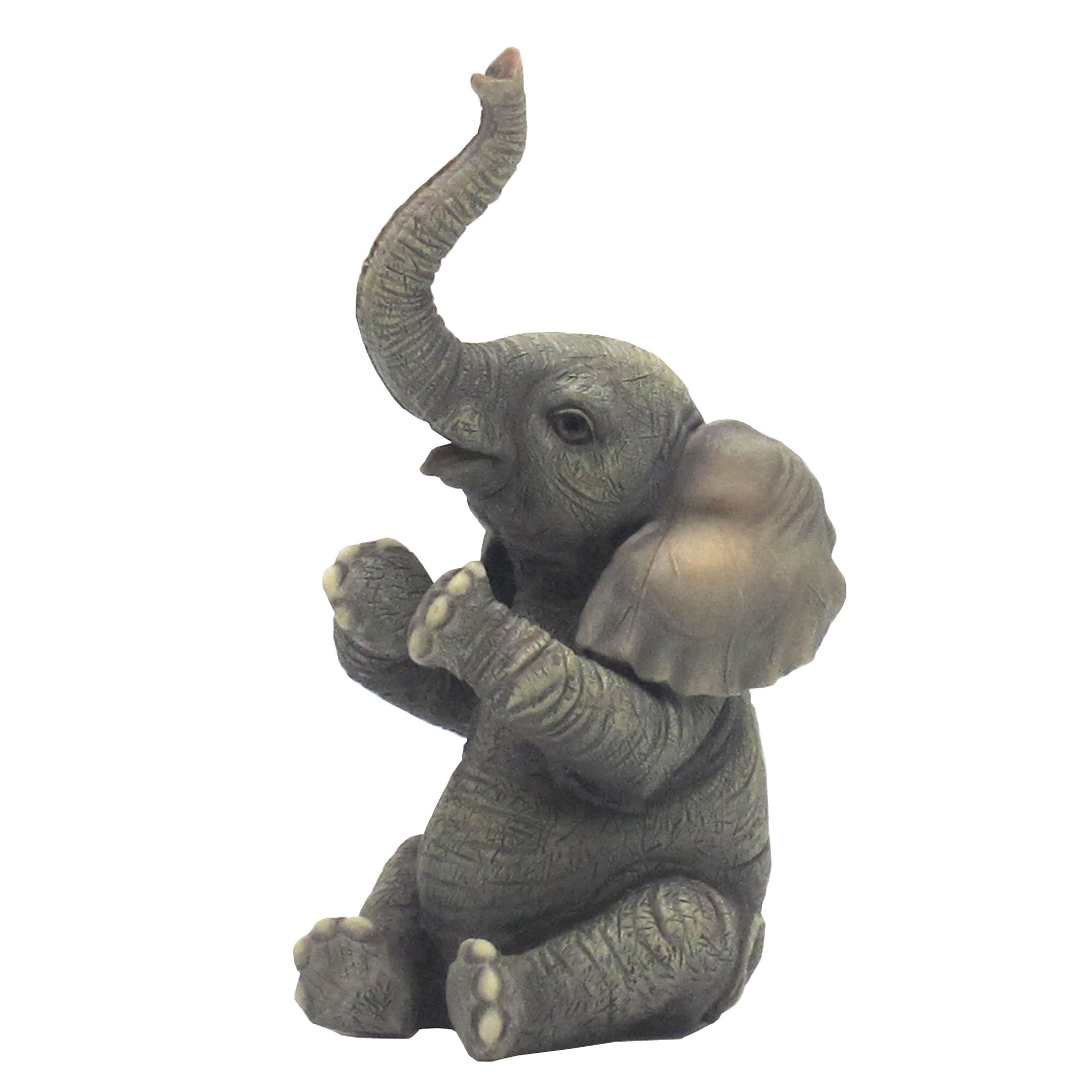 Baby Elephant Sitting And Applauding