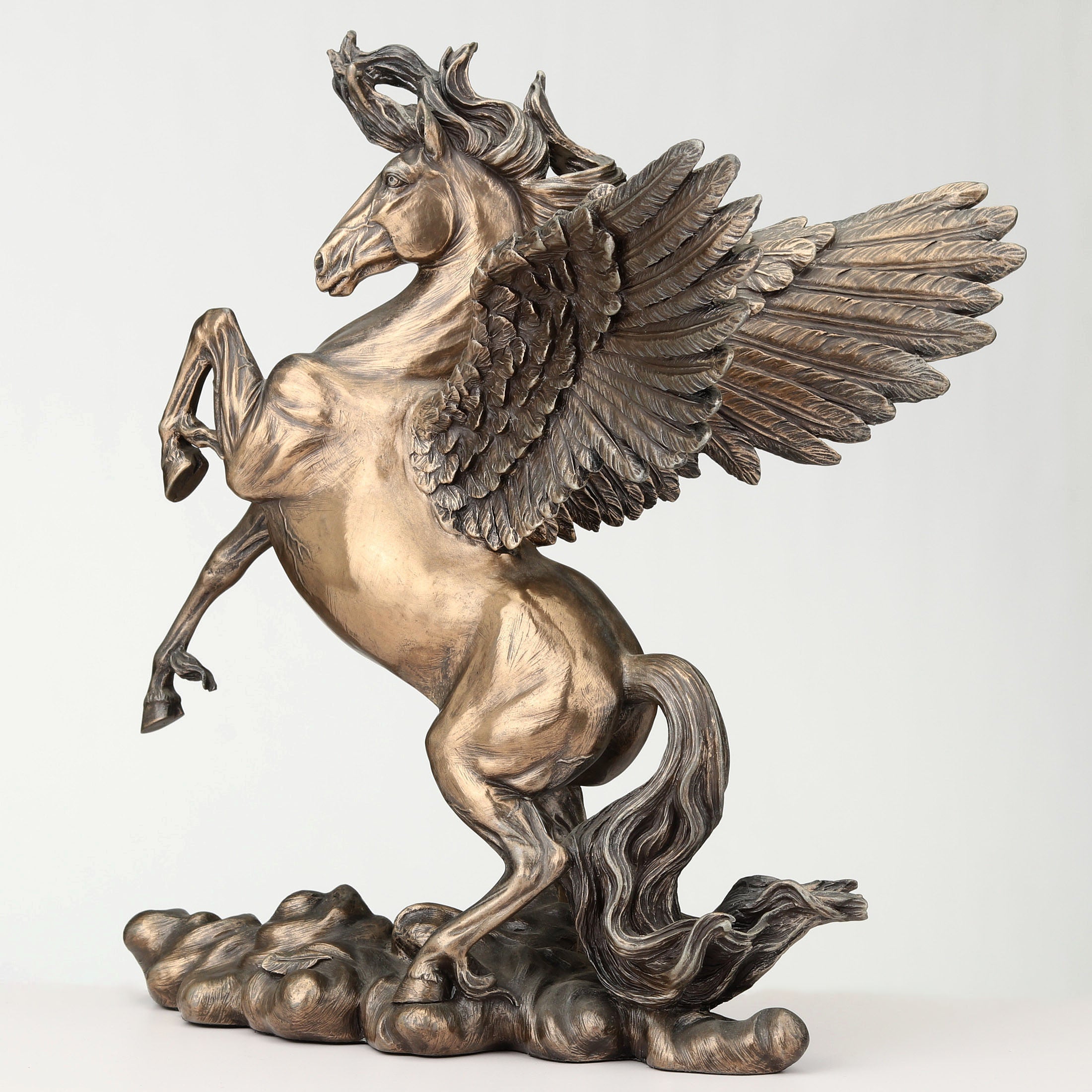 Rearing Pegasus