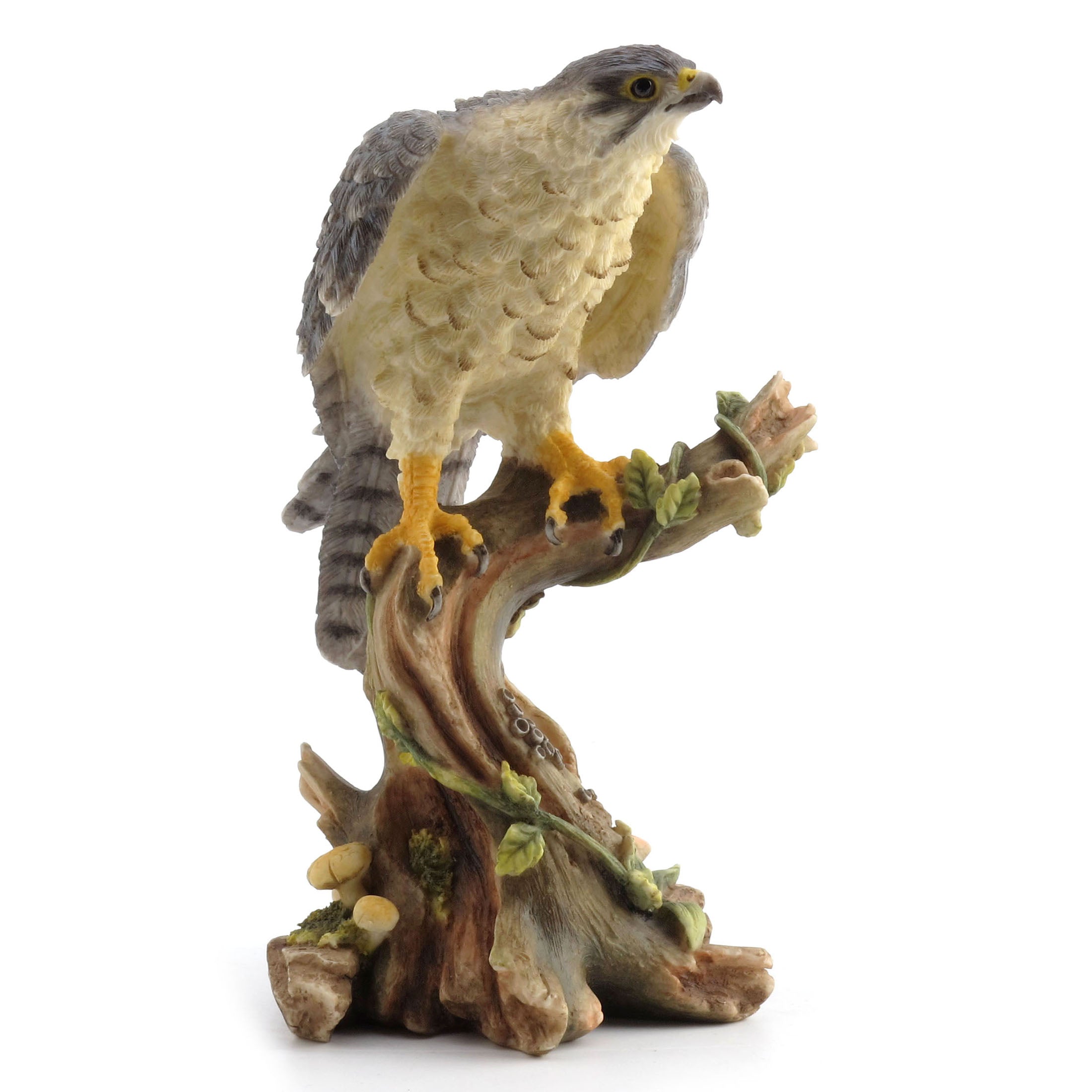 Peregrine Falcon
