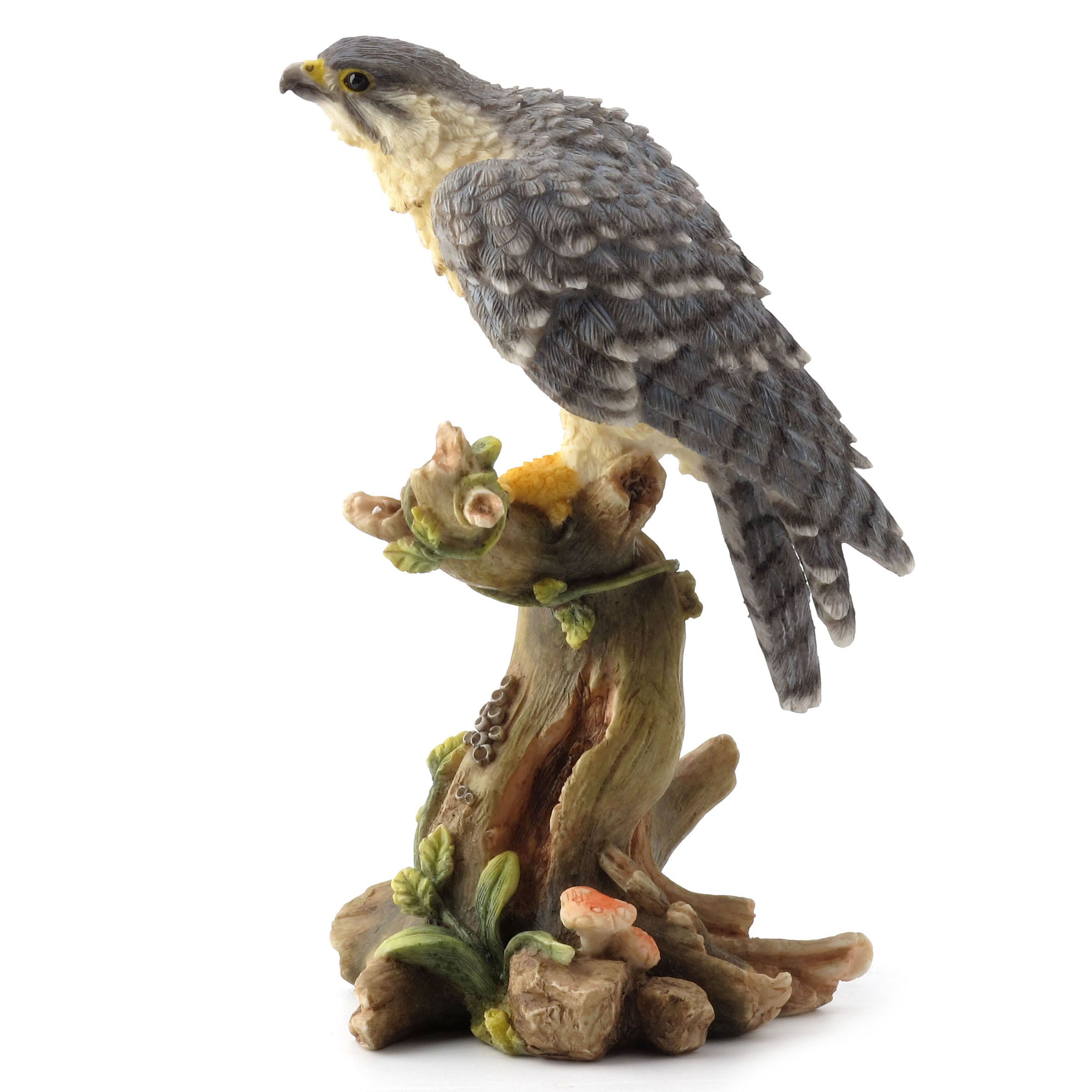 Peregrine Falcon