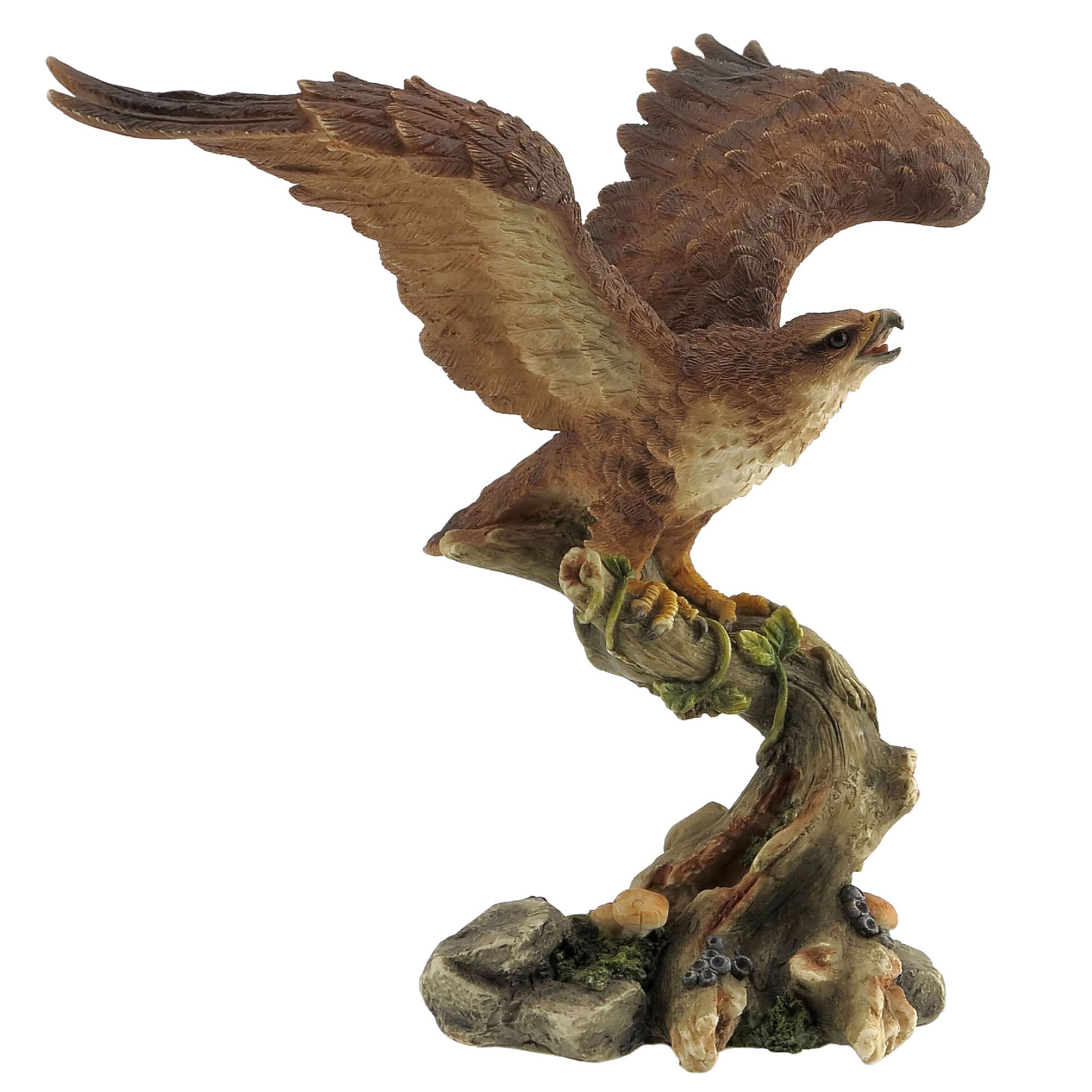 Buzzard
