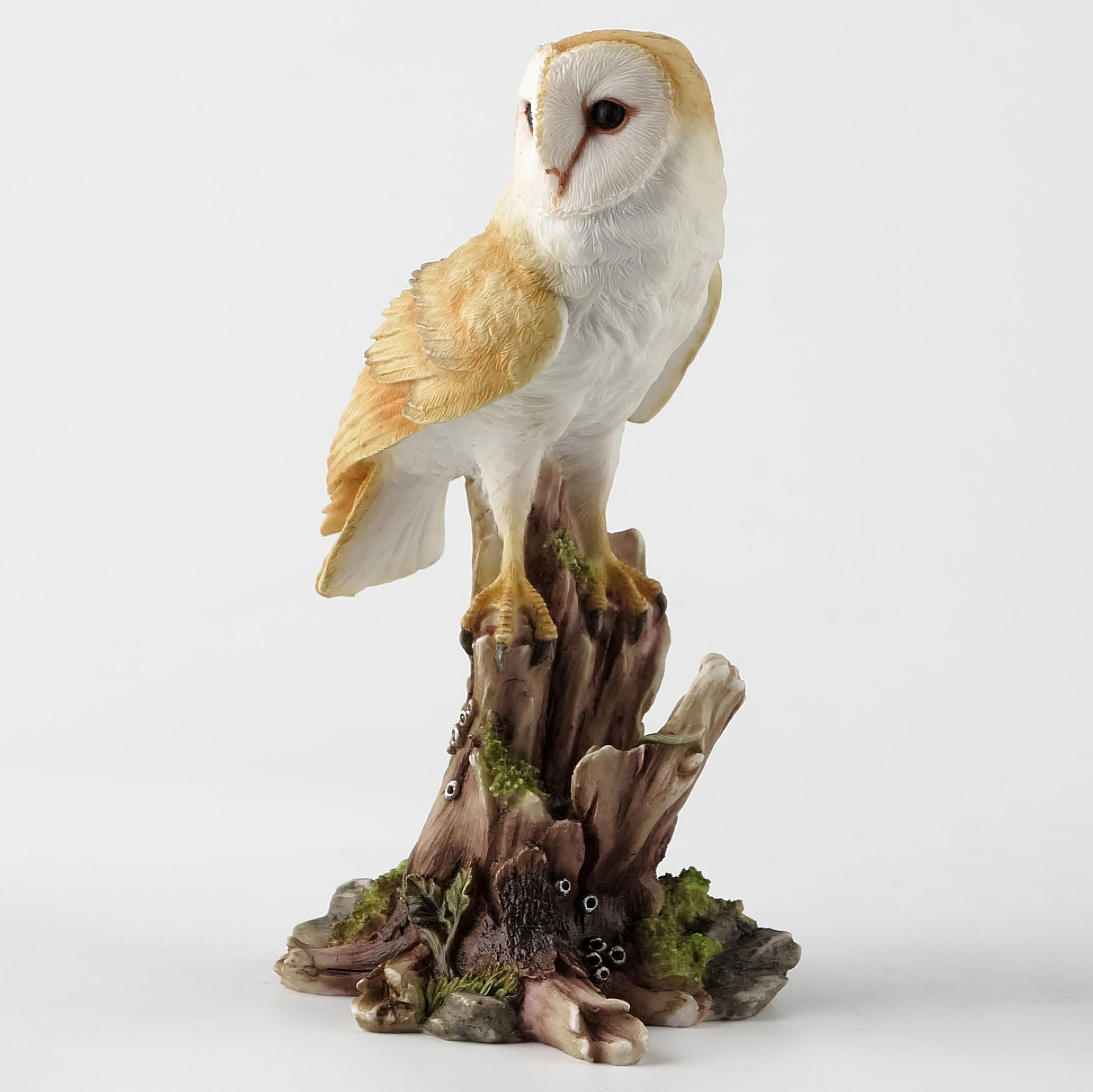 Barn Owl