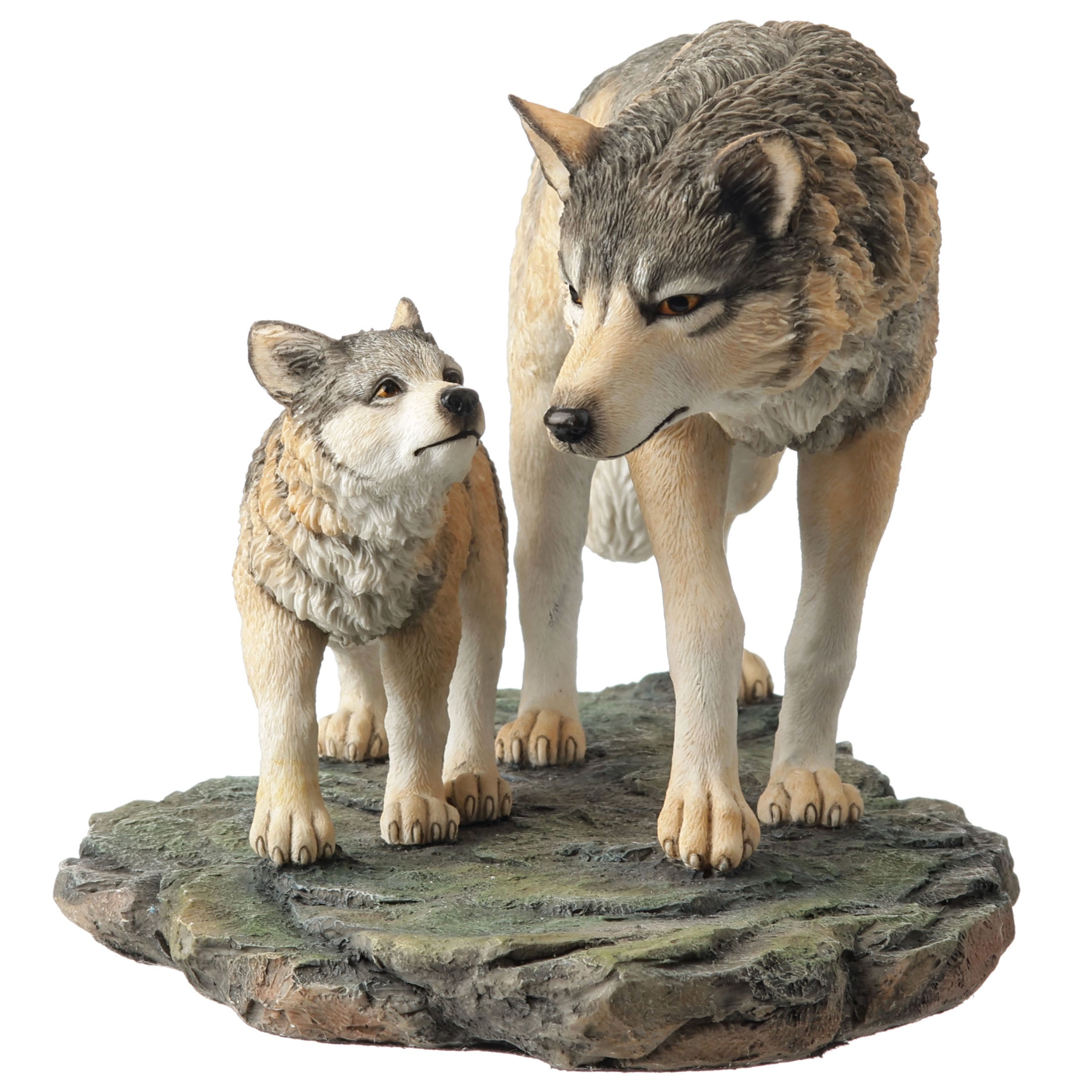 Wolf And Cub