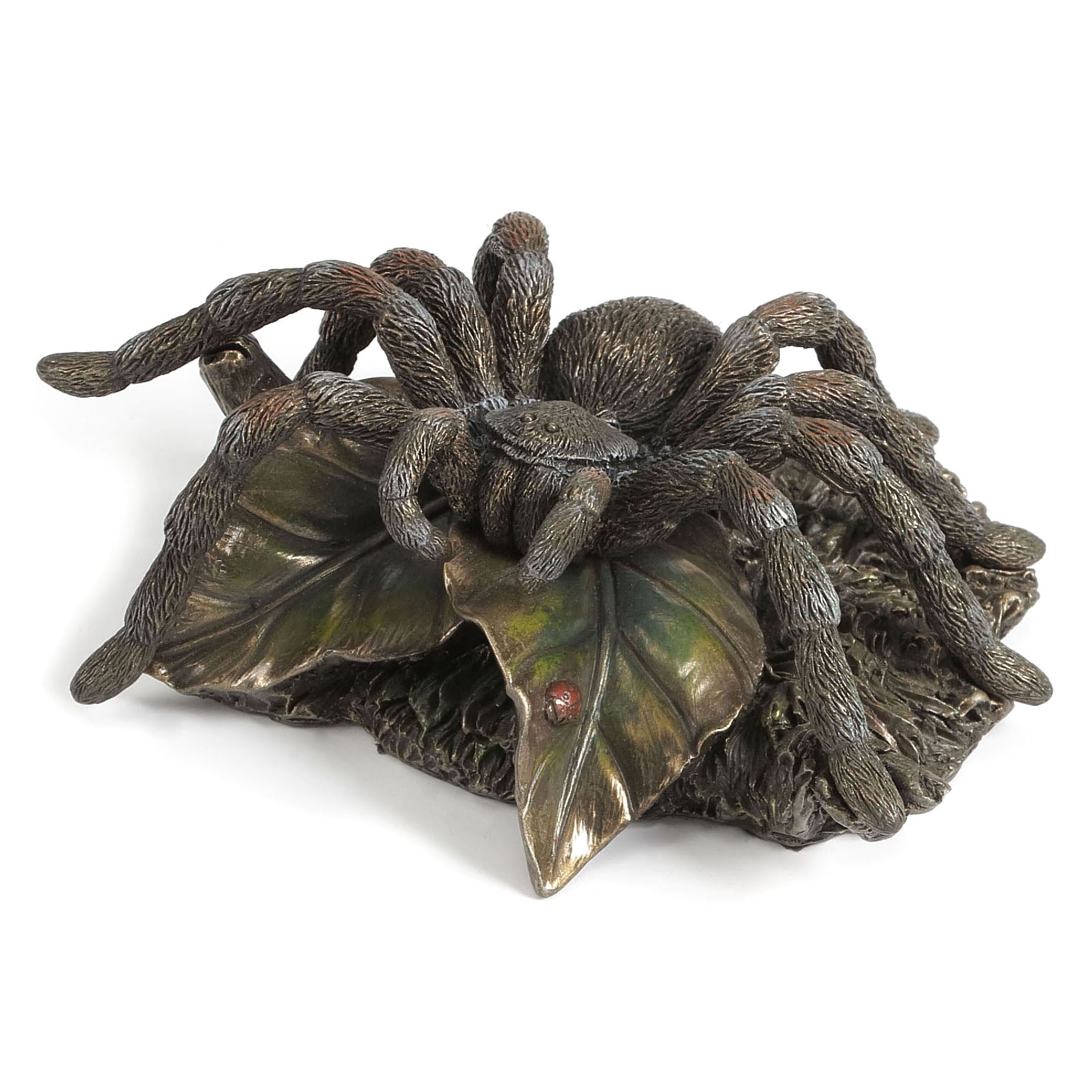 Taranchula(Bronze)