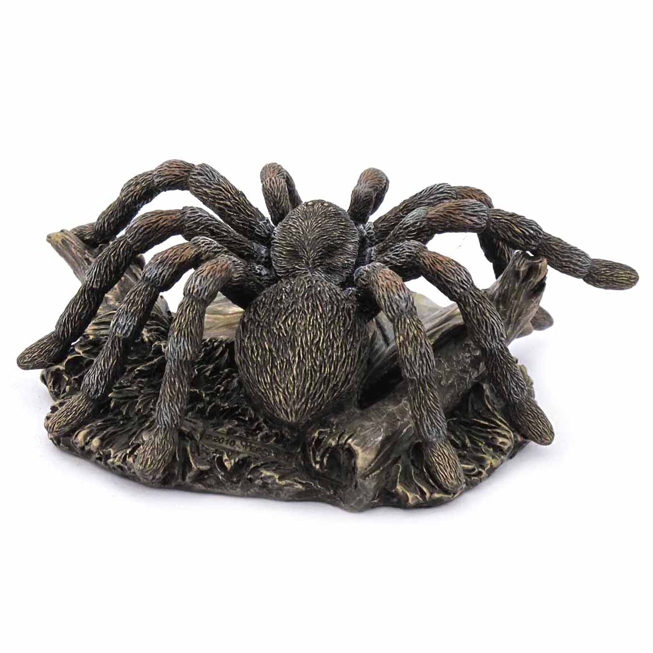 Taranchula(Bronze)