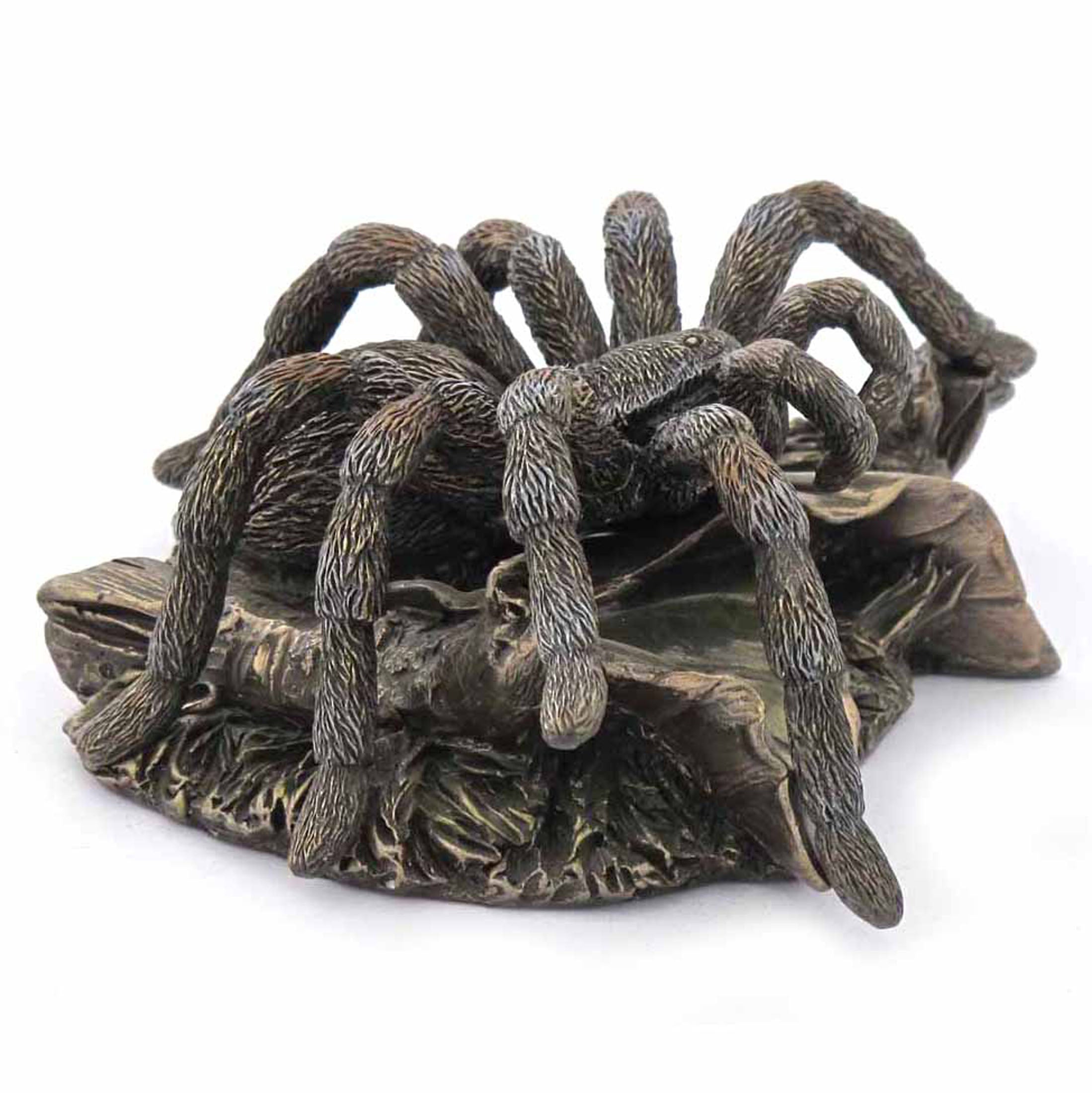 Taranchula(Bronze)