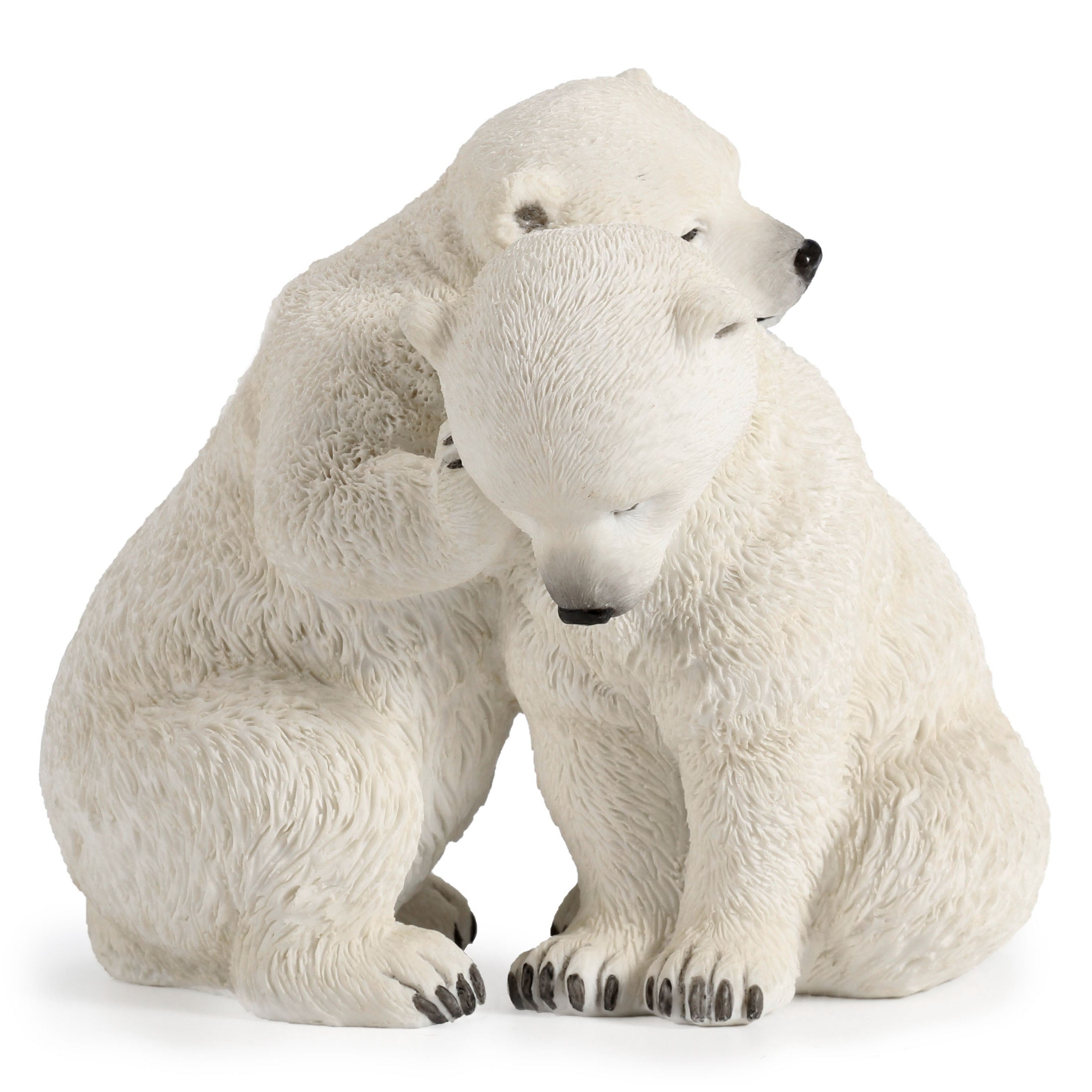 Polar Bear Cubs