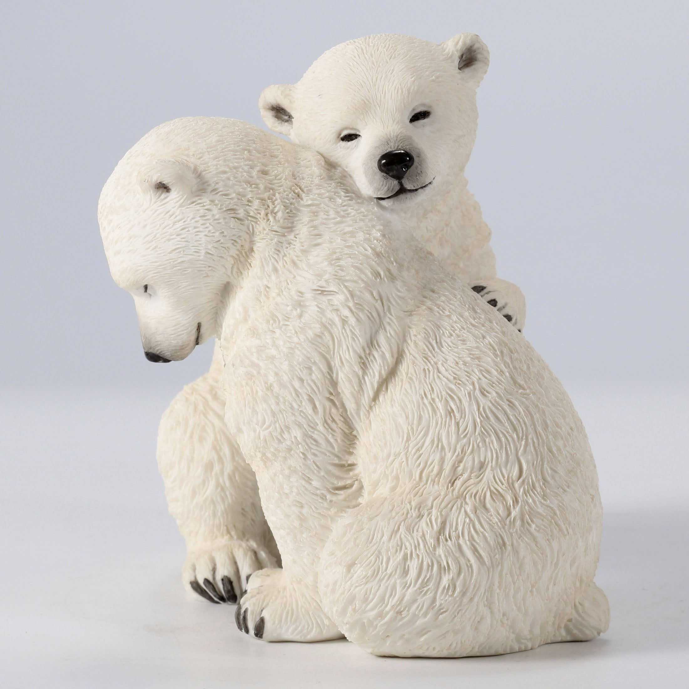 Polar Bear Cubs
