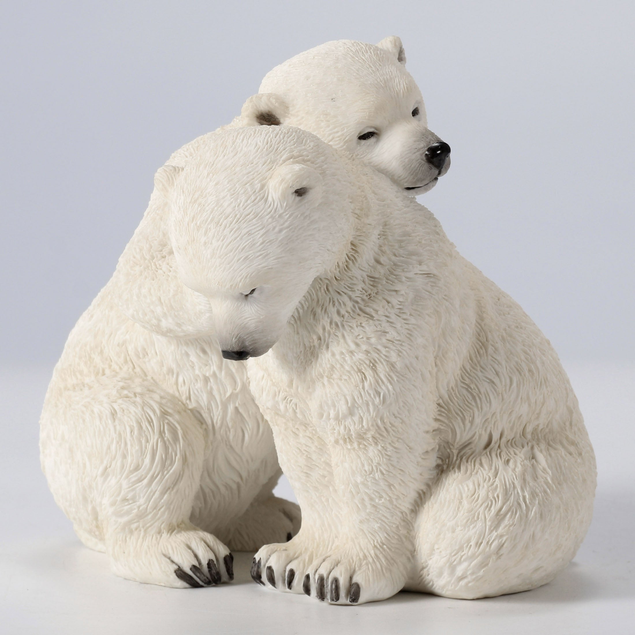 Polar Bear Cubs
