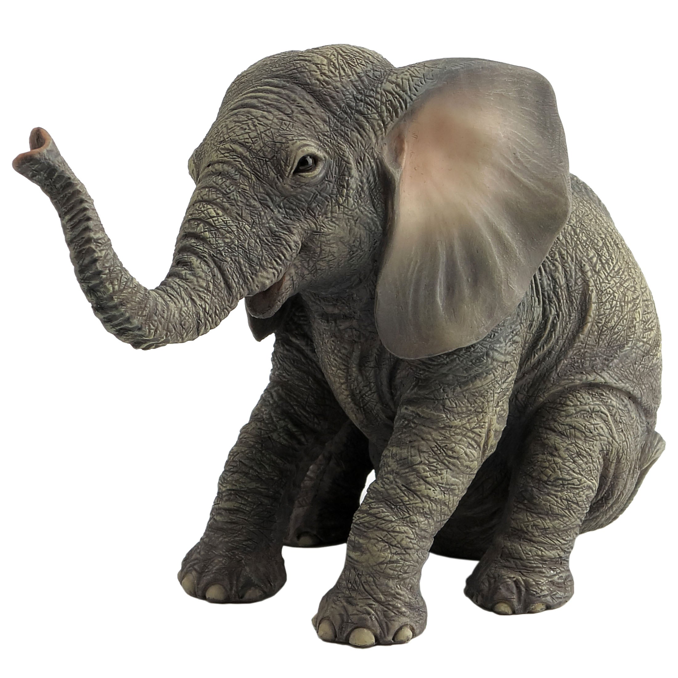 Baby Elephant Sitting