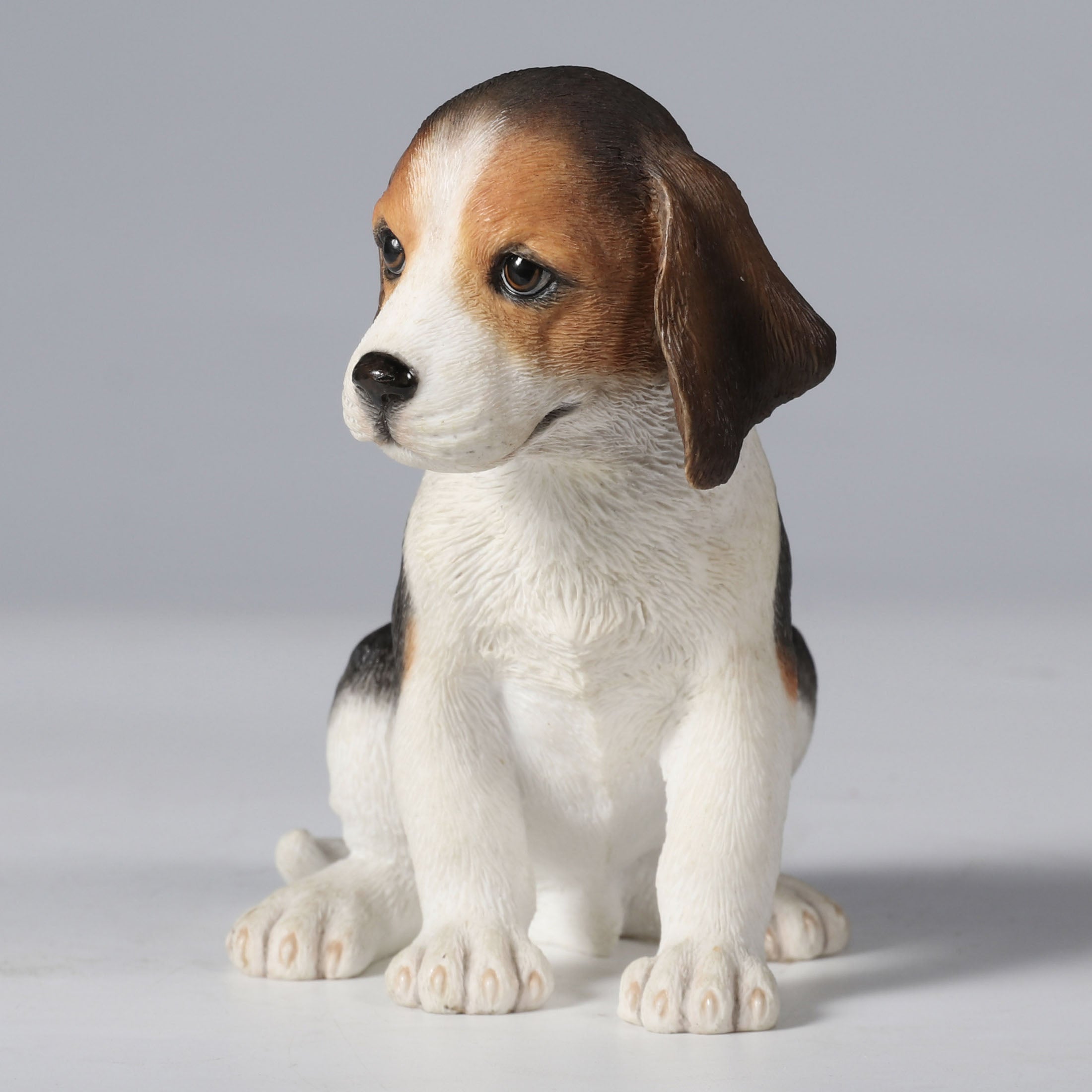 Beagle Puppy
