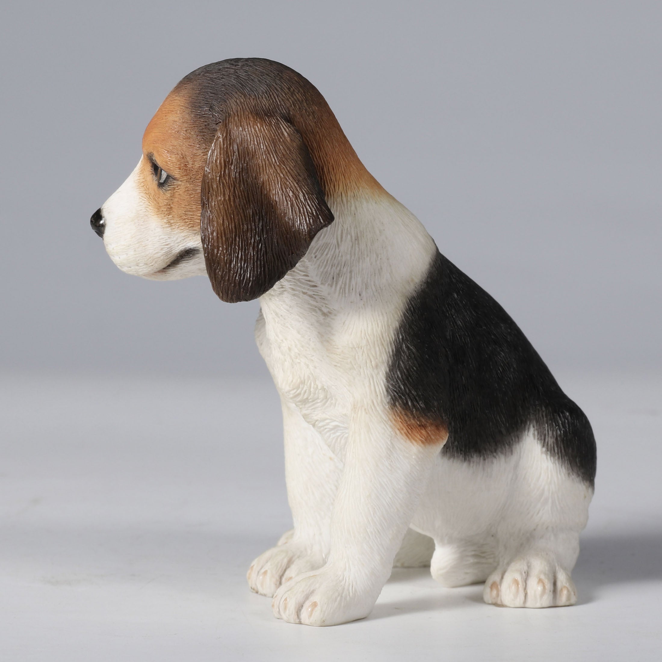 Beagle Puppy