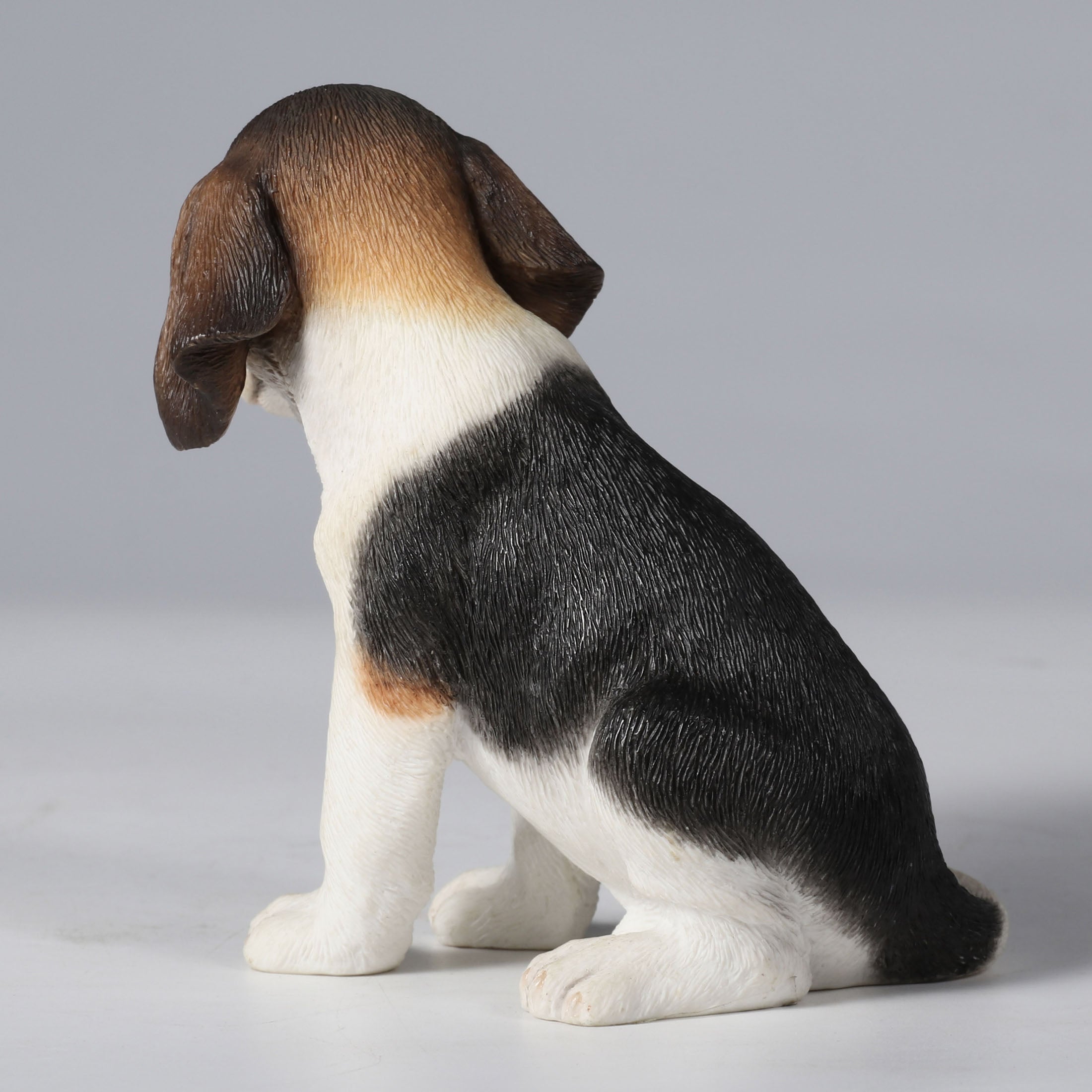Beagle Puppy