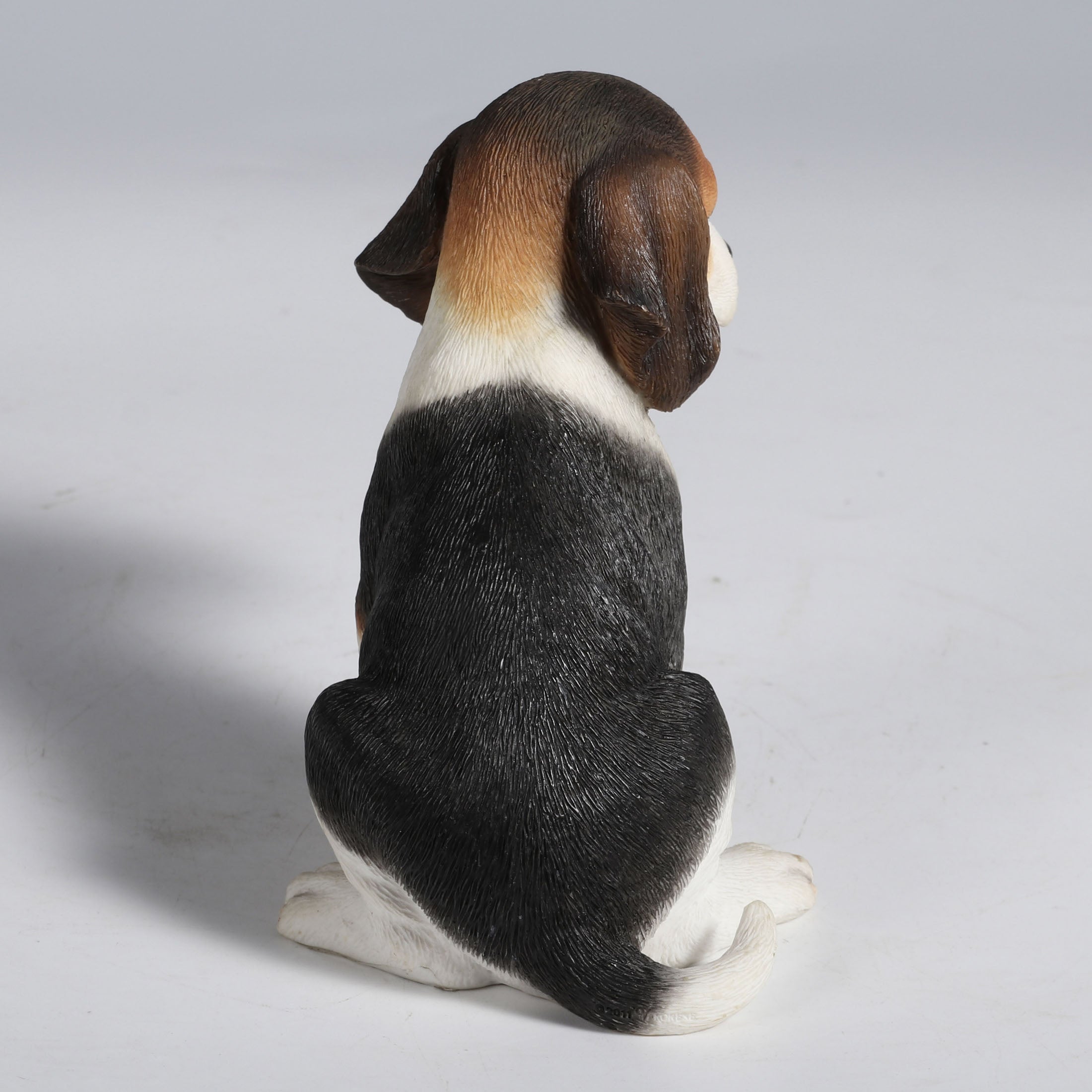 Beagle Puppy