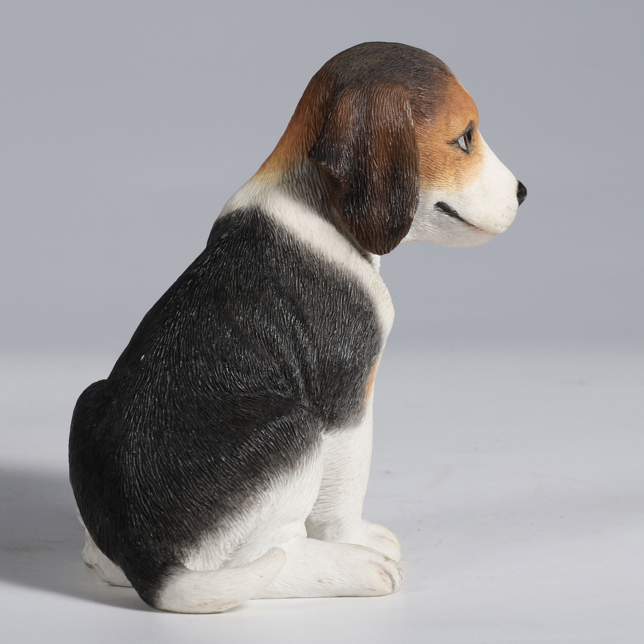 Beagle Puppy