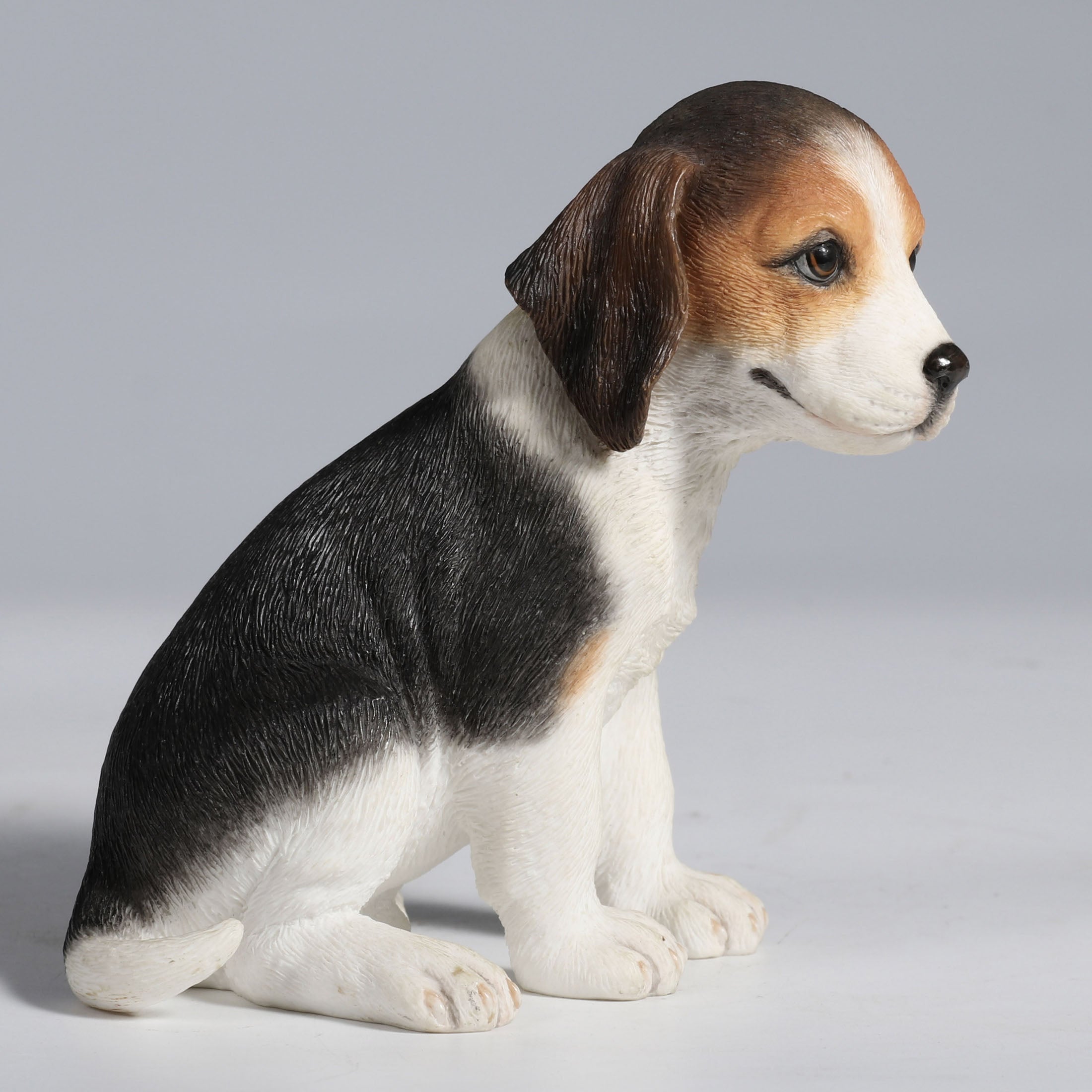 Beagle Puppy