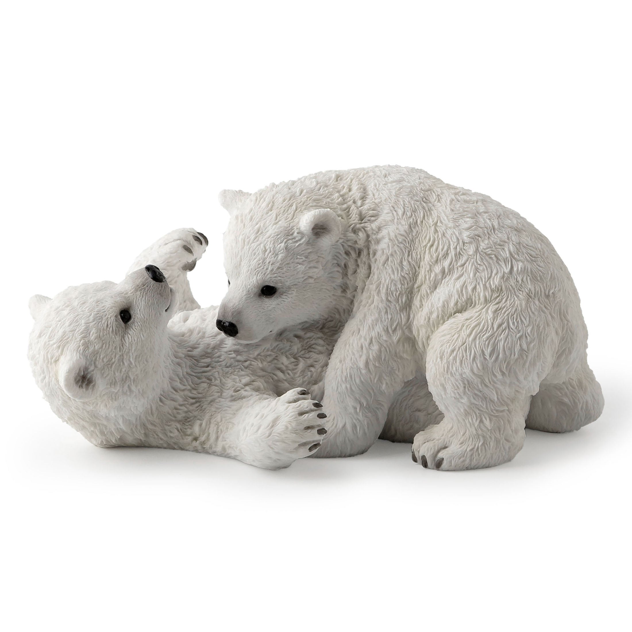 Polar Bears Cubs Playing